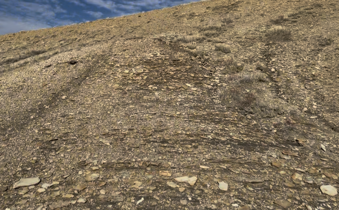 This is what the hillsides look like hiking up from the parking area.