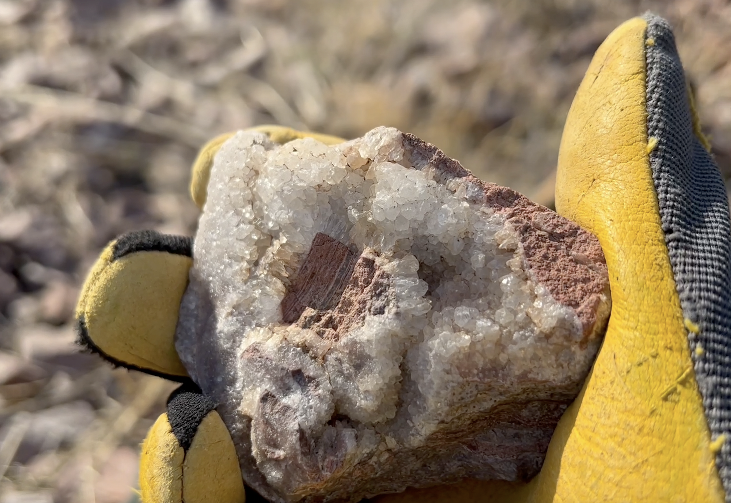 One of the stranger ones I found out here.  It looks like it has a little square of the rhyolite down the center.
