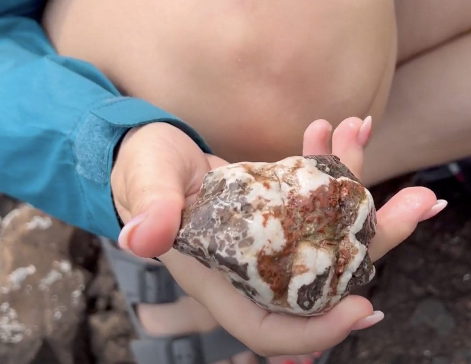 We found many here that had this same larger  white outer banding.