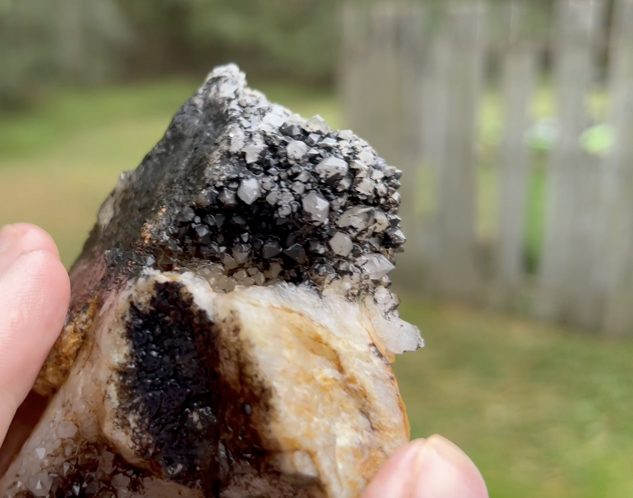 This is the manganese oxide scaling.