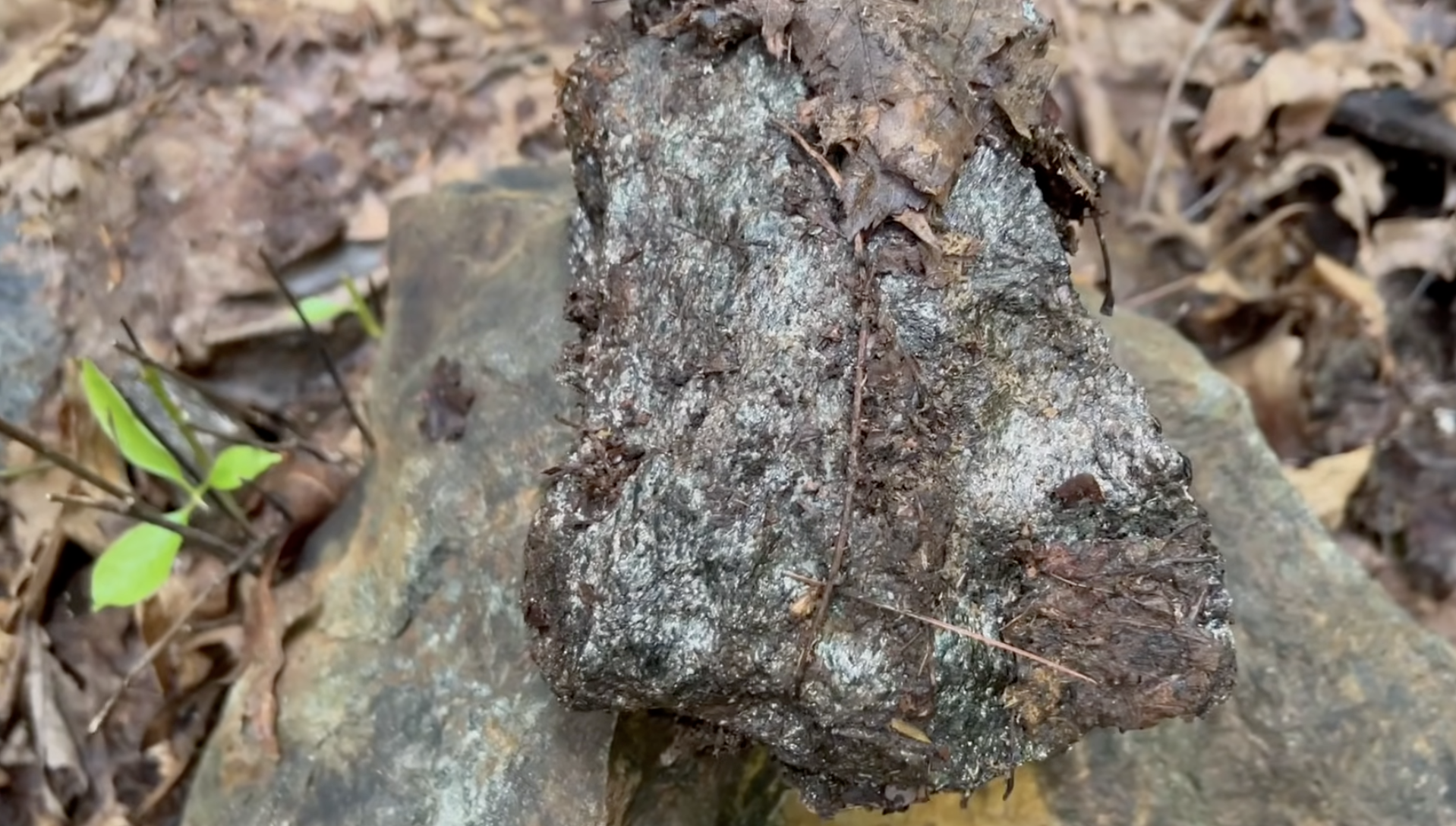 This is what a lot of the rock out here looks like.