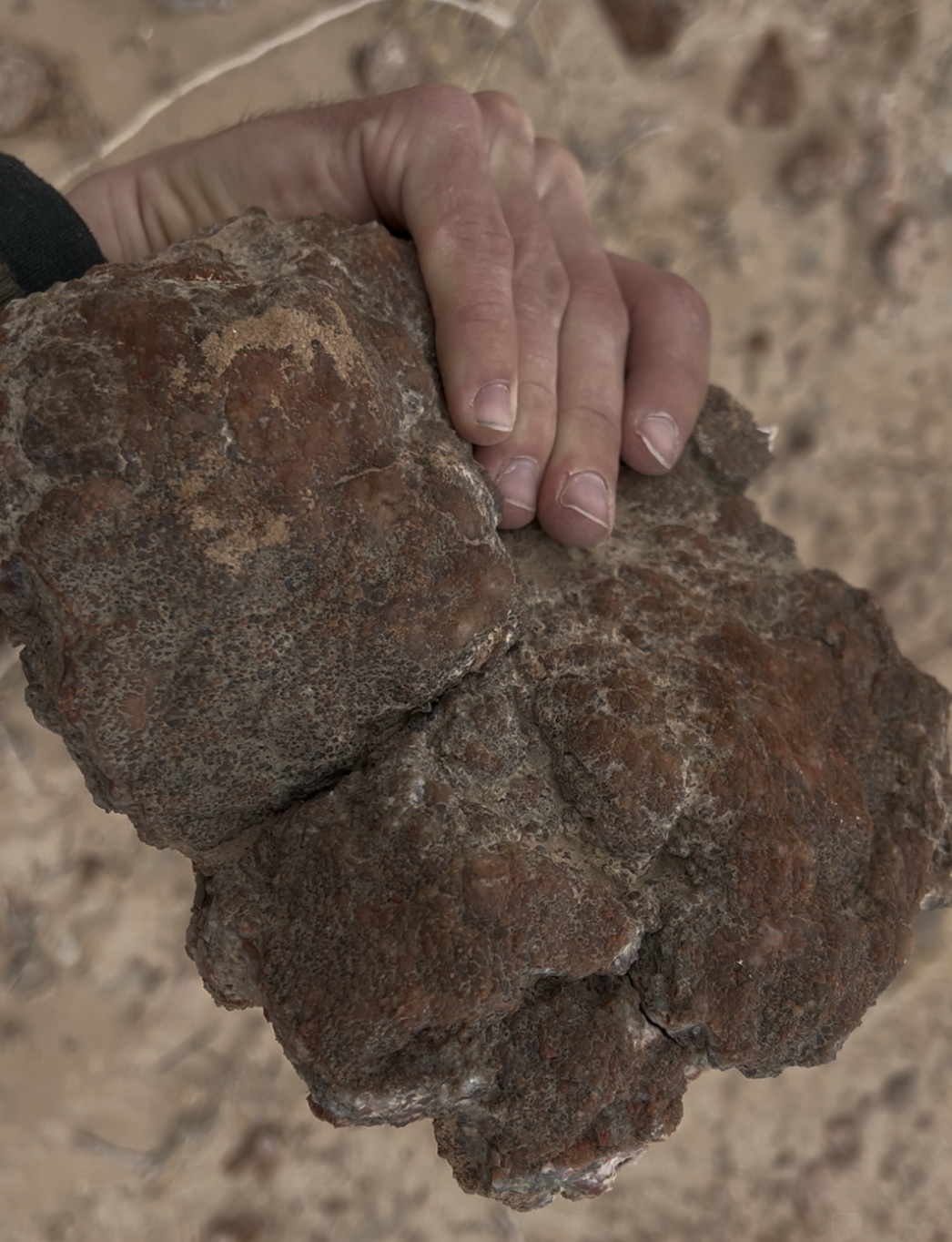 Some of those pieces get big!