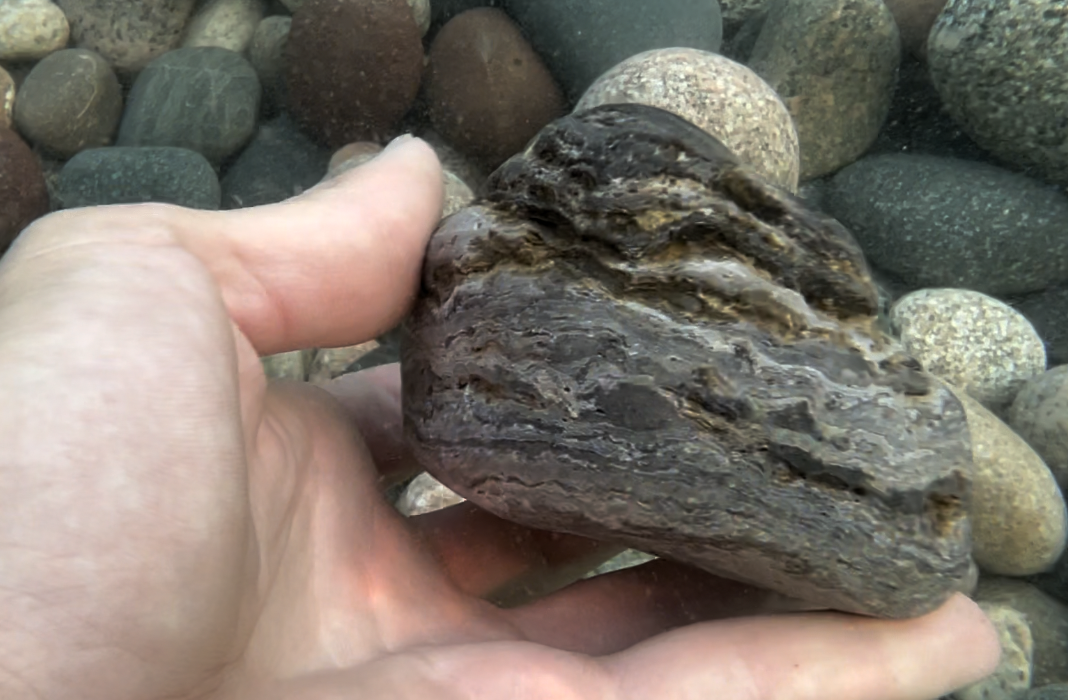 It's big and has banding, but this looks like a coldwater agate or stromatolite instead of a Lake Superior Agate.