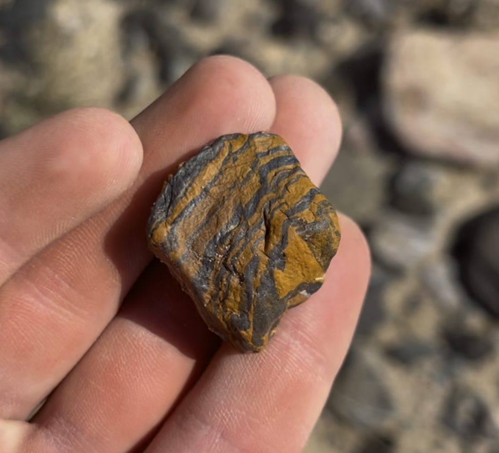 This was one of my favorites.