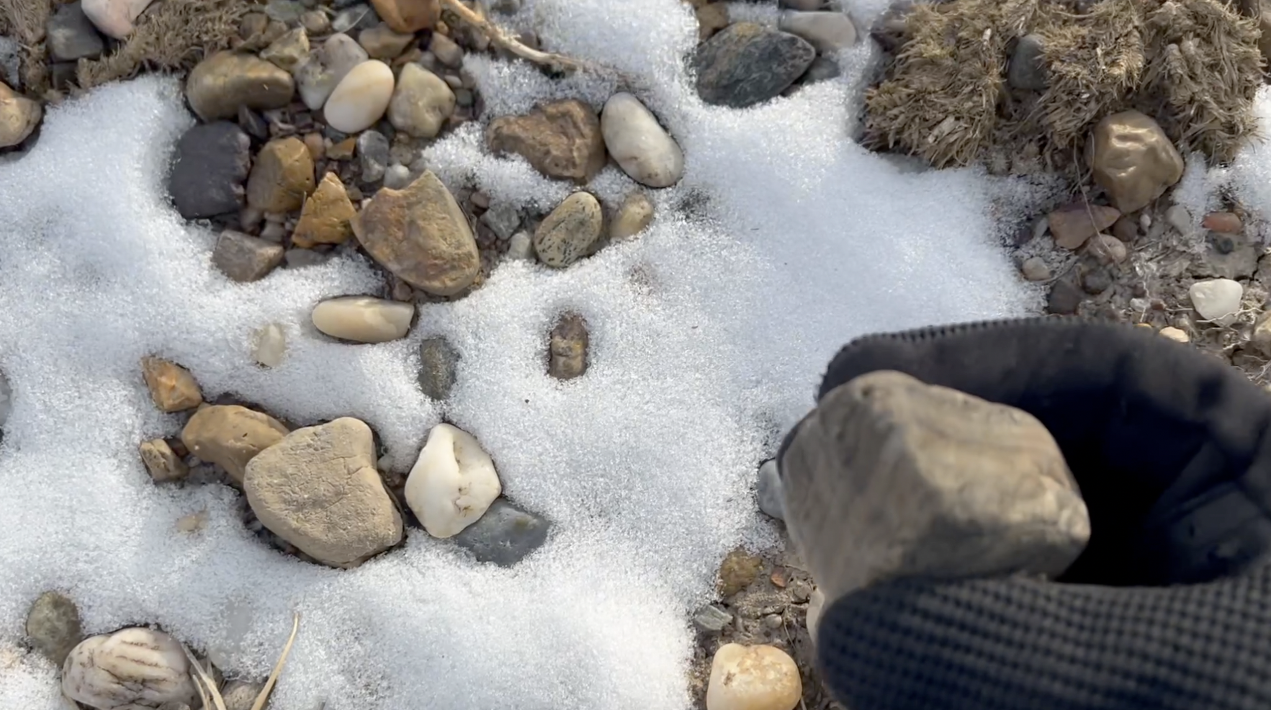 Snow coverage limited what I was able to see.