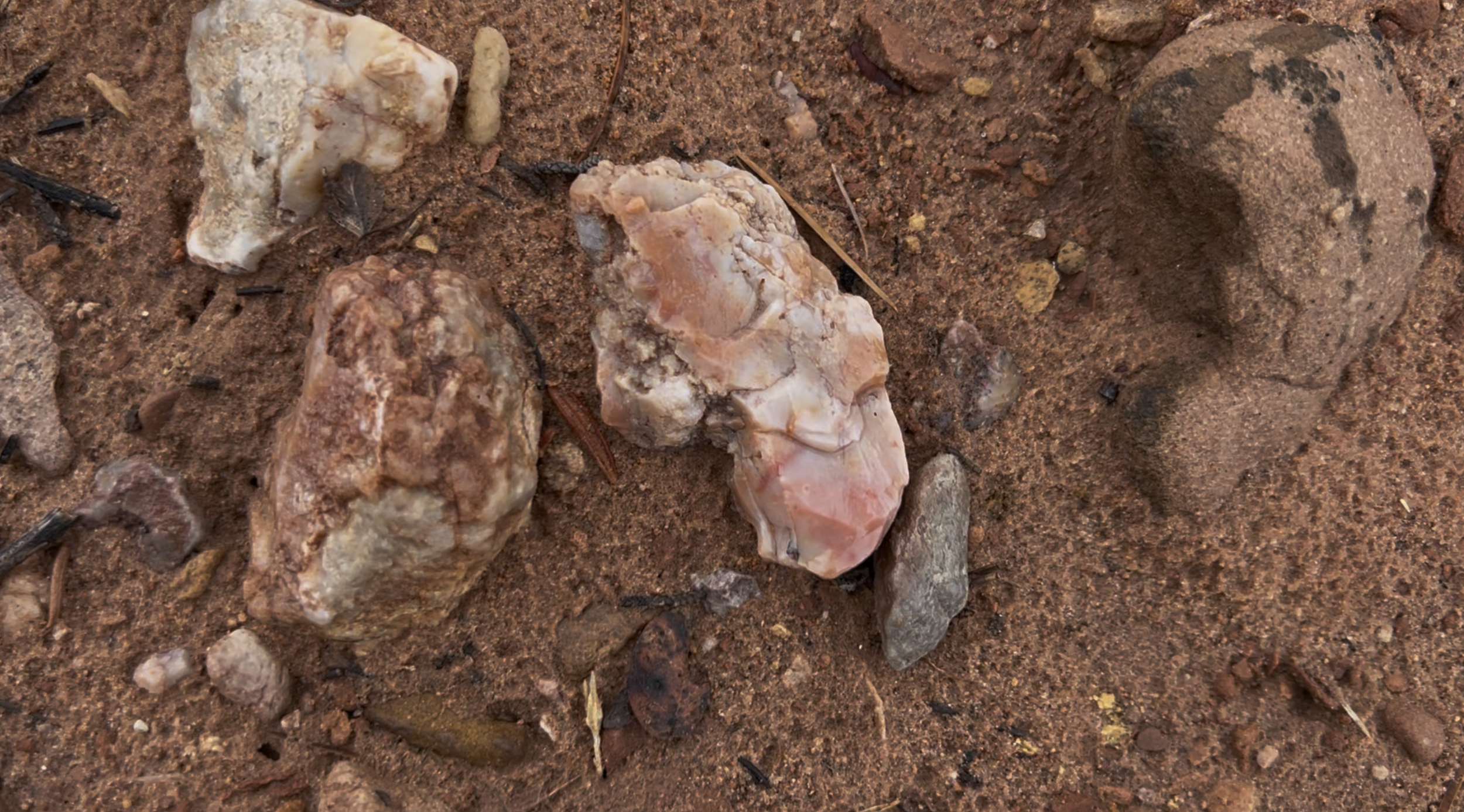 A nice example of the brightly colored chalcedony/agate that's found all throughout the area.