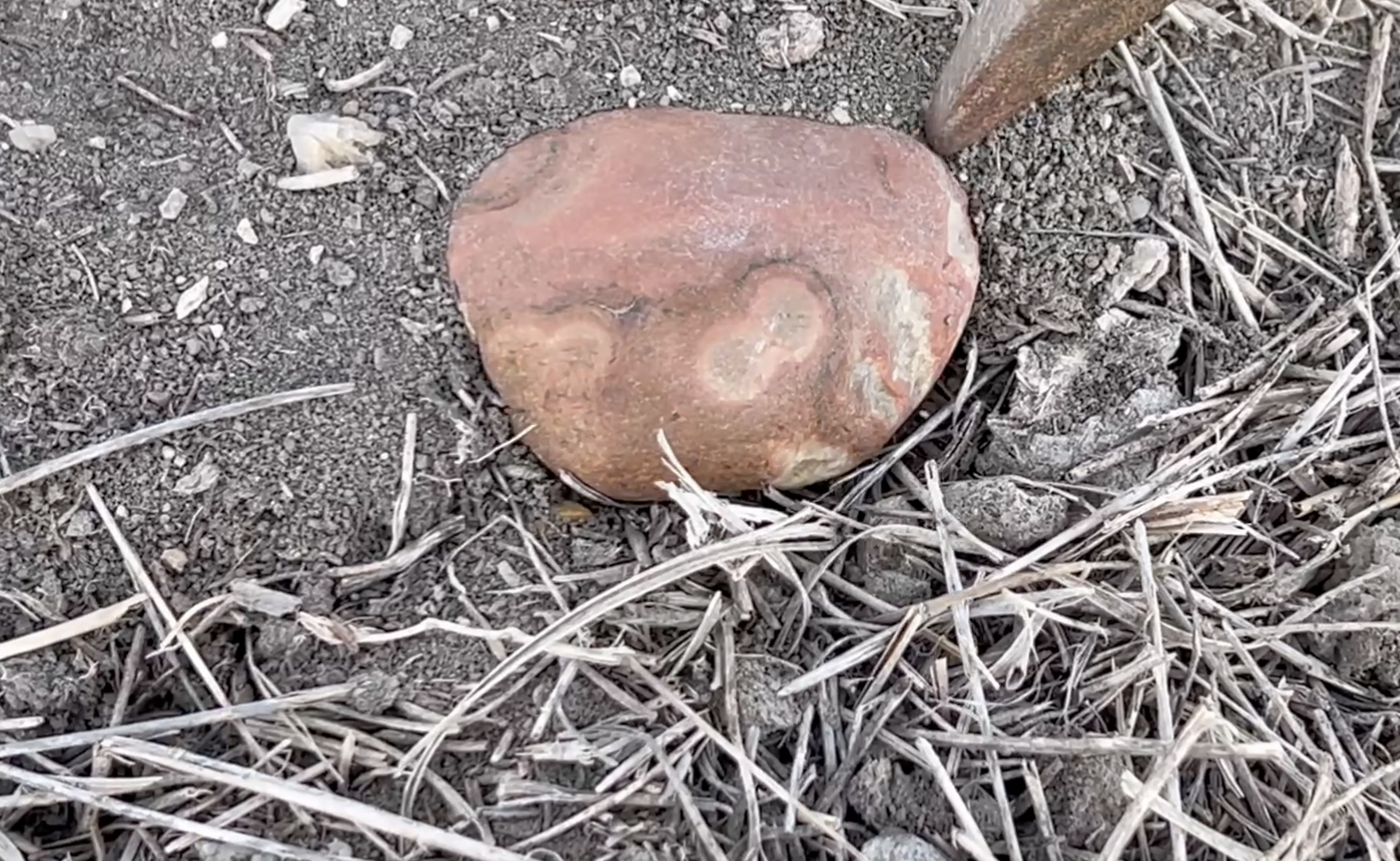 This is what I believe is a referred to as 'bubble gum agate'.