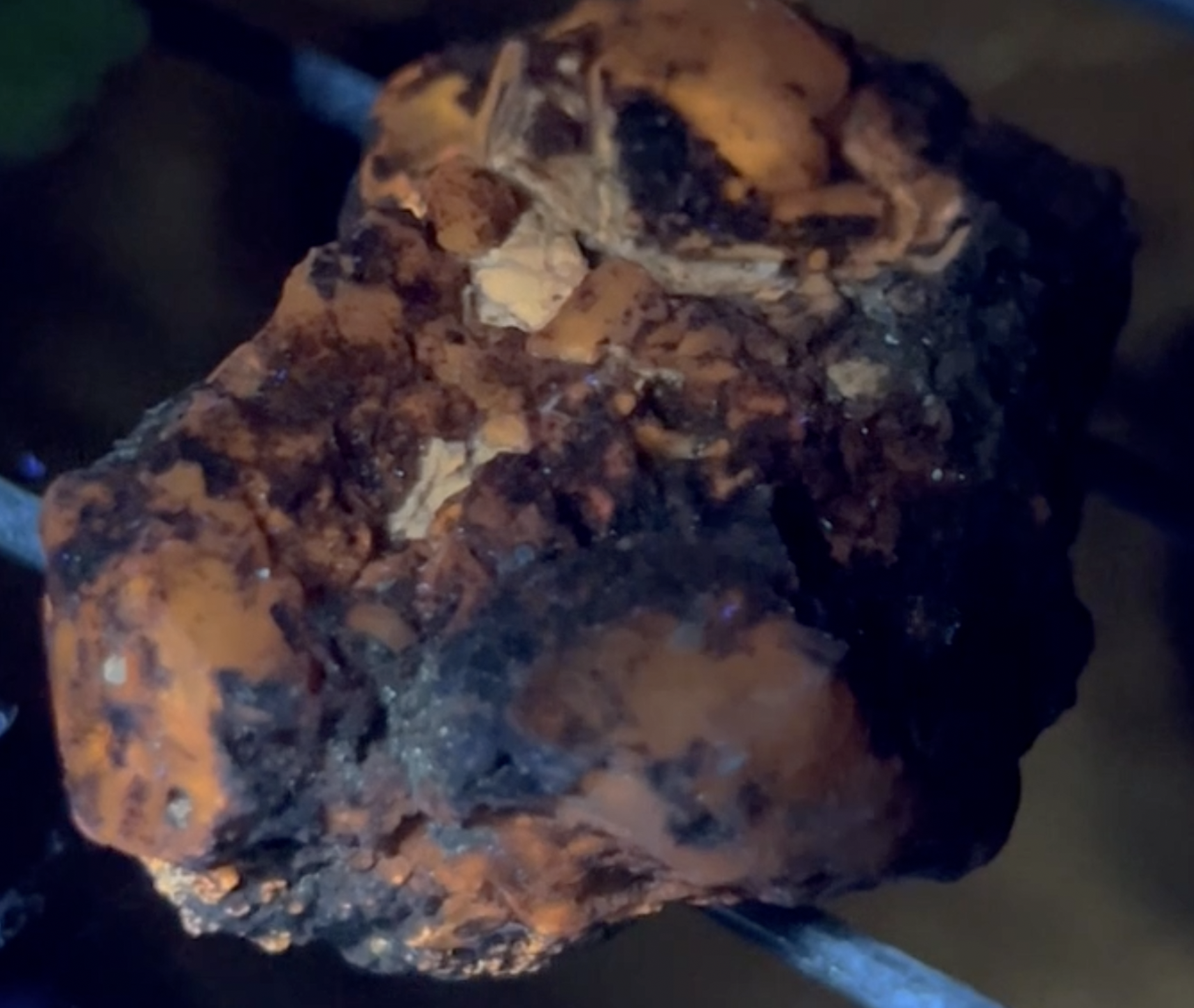 These photos were taken under 365nm UV light.