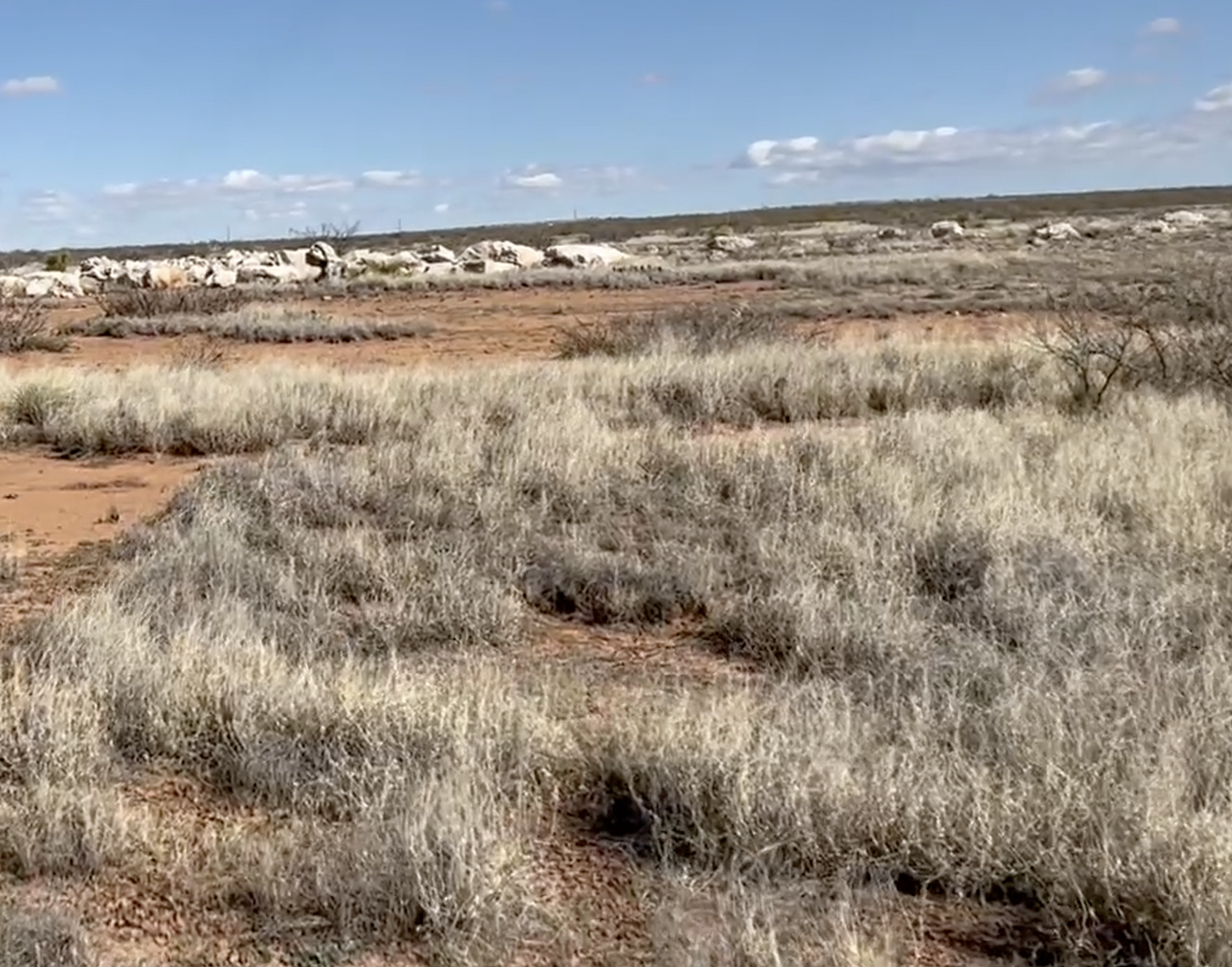 In the background are blocks of gypsum.