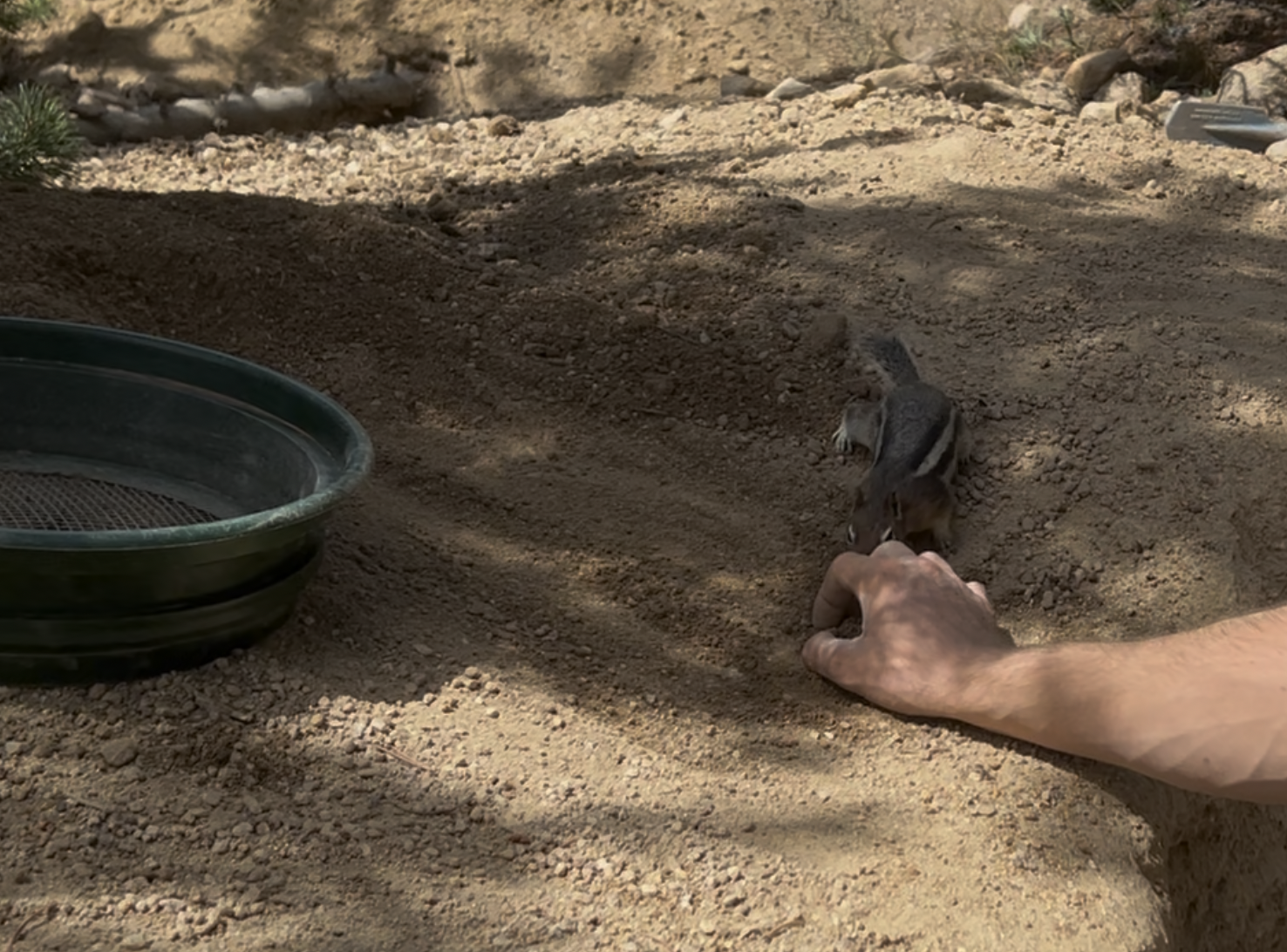 This one really wanted to introduce himself.