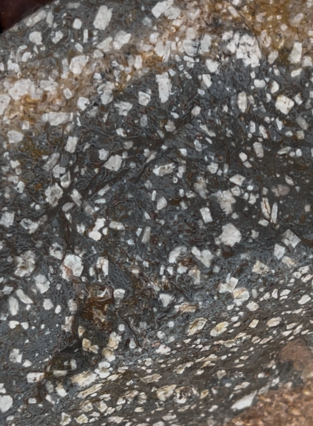 I am unsure what this is, but it appears to be an igneous rock with large crystals packed all throughout.