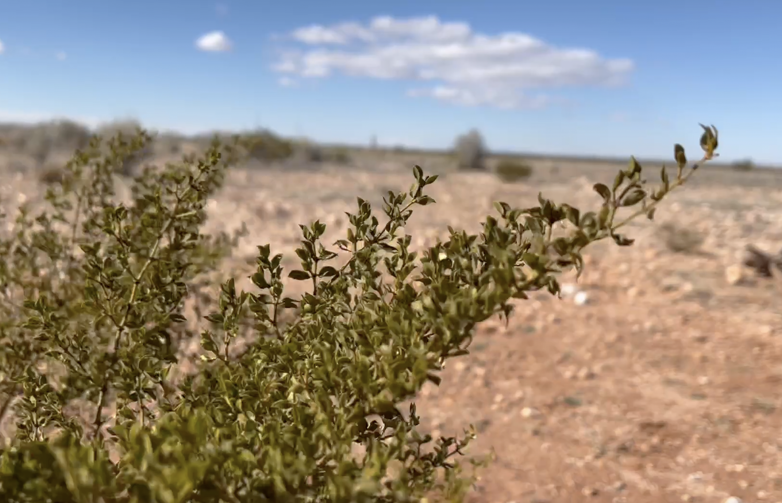 It is mainly flat out here.