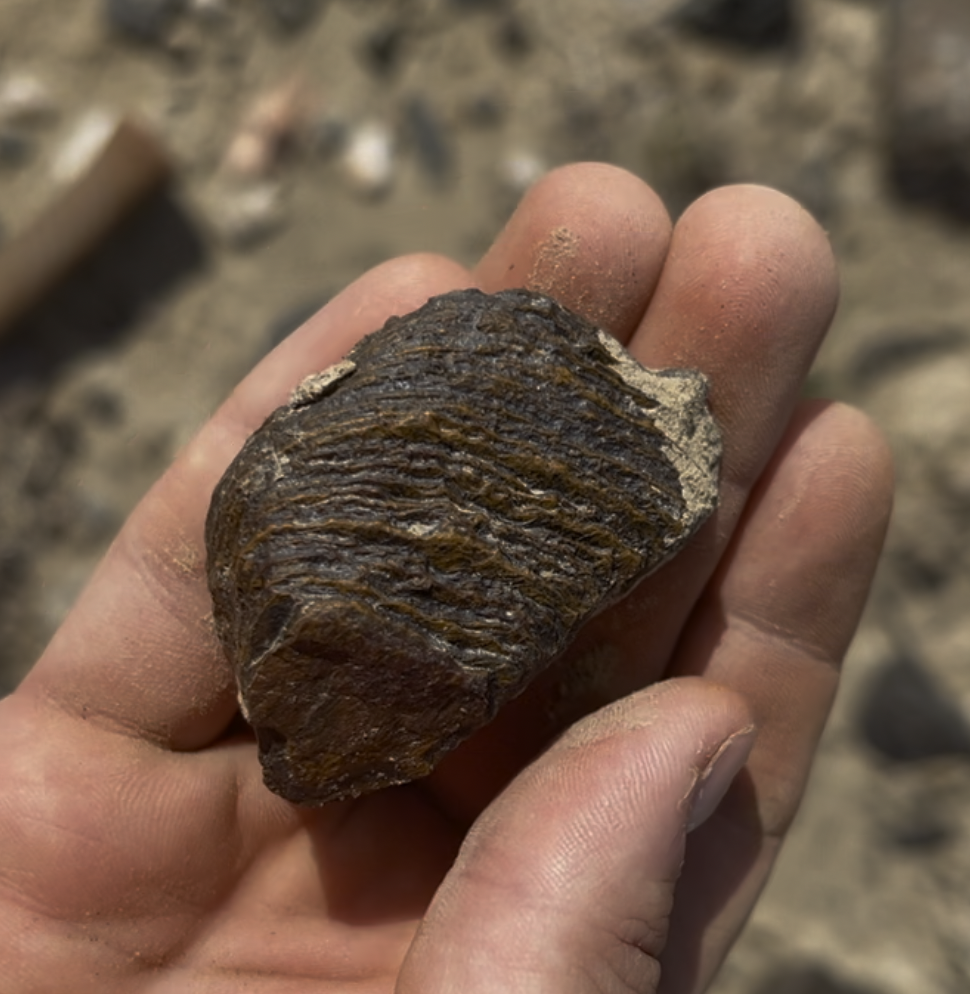 The banded iron has a waxy feel to it with worn ridges.  It comes in a variety of different color patterns.