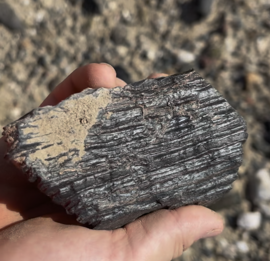 This was my largest one.  I'm sure there's larger chunks out here.