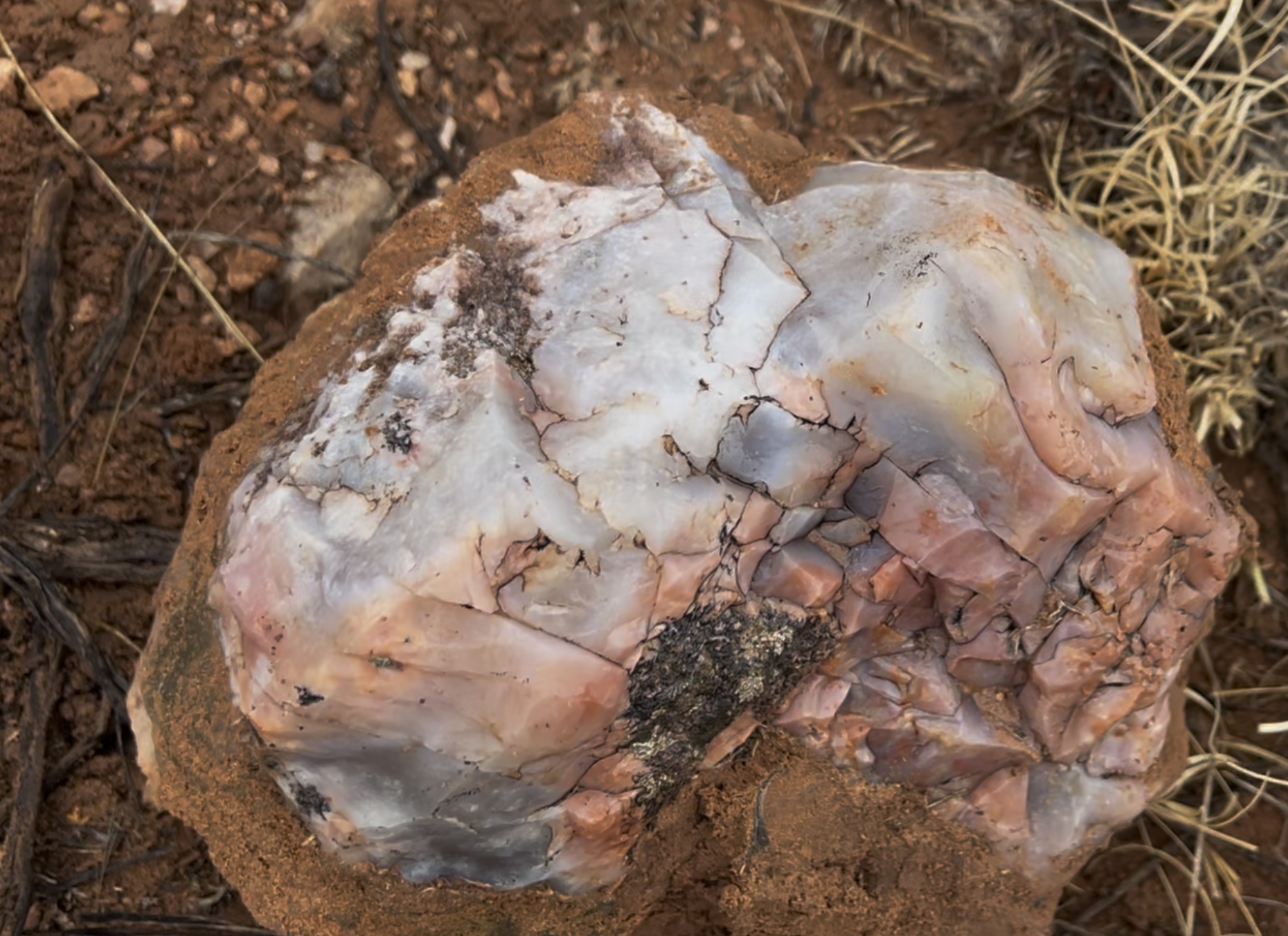 An example of the wide span of colors that's in the chalcedony up here.