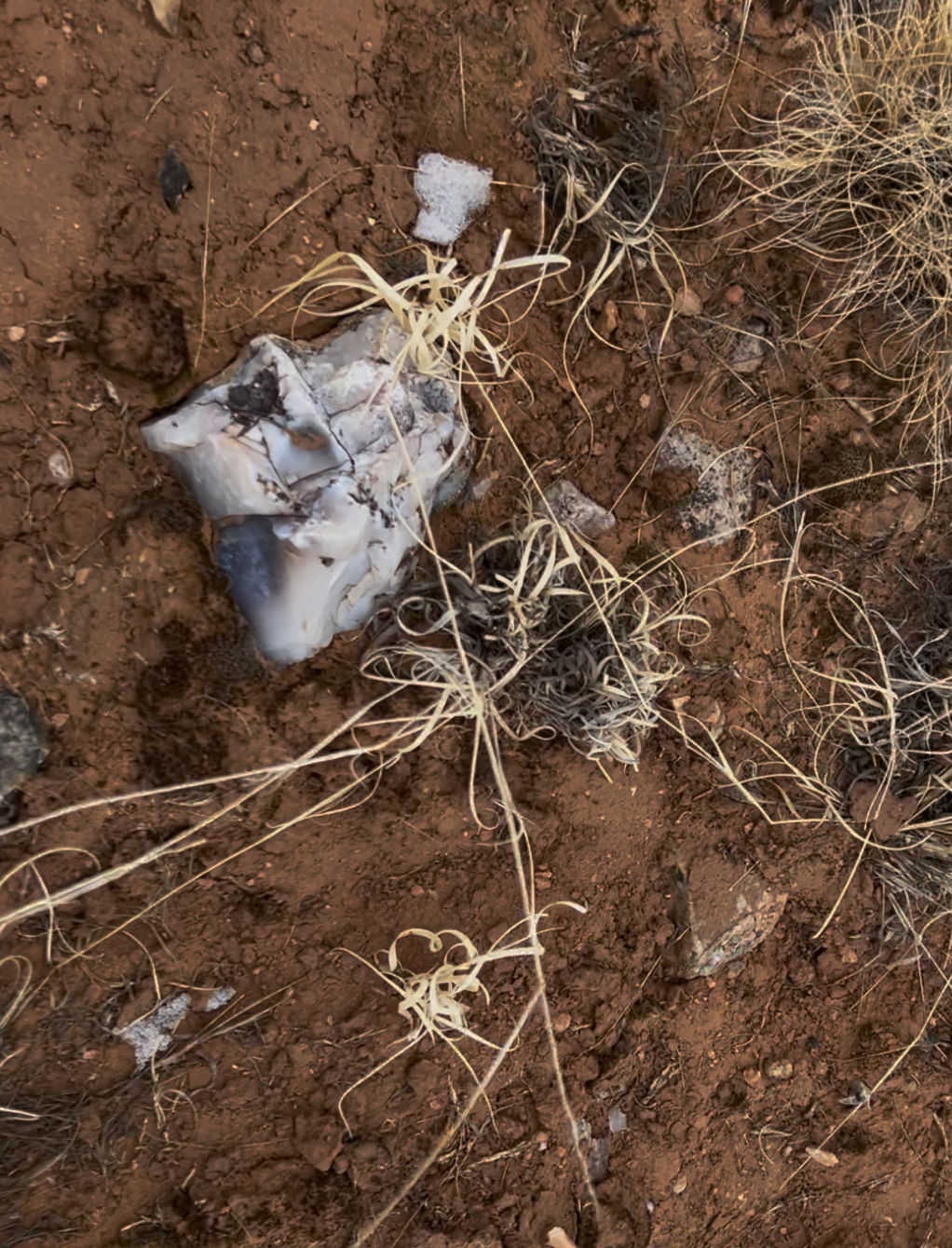 It's embedded in the mud just like this.