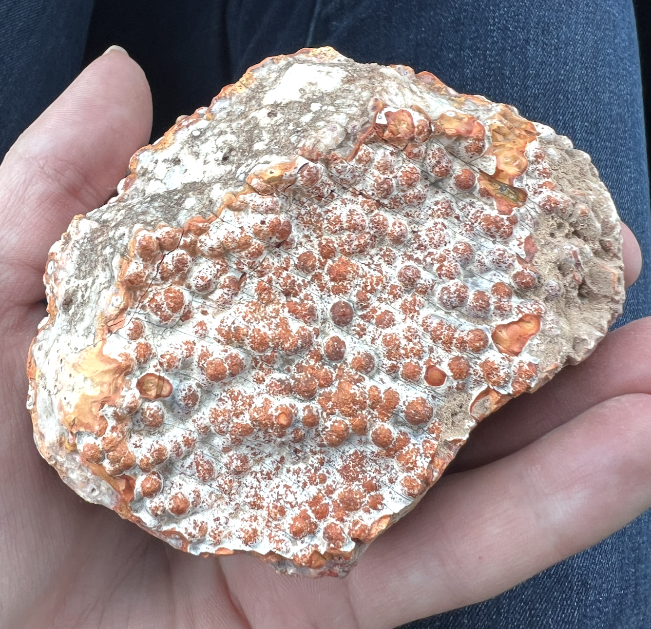 Some refer to this material as "Utah grape agate" because of the outer texture.