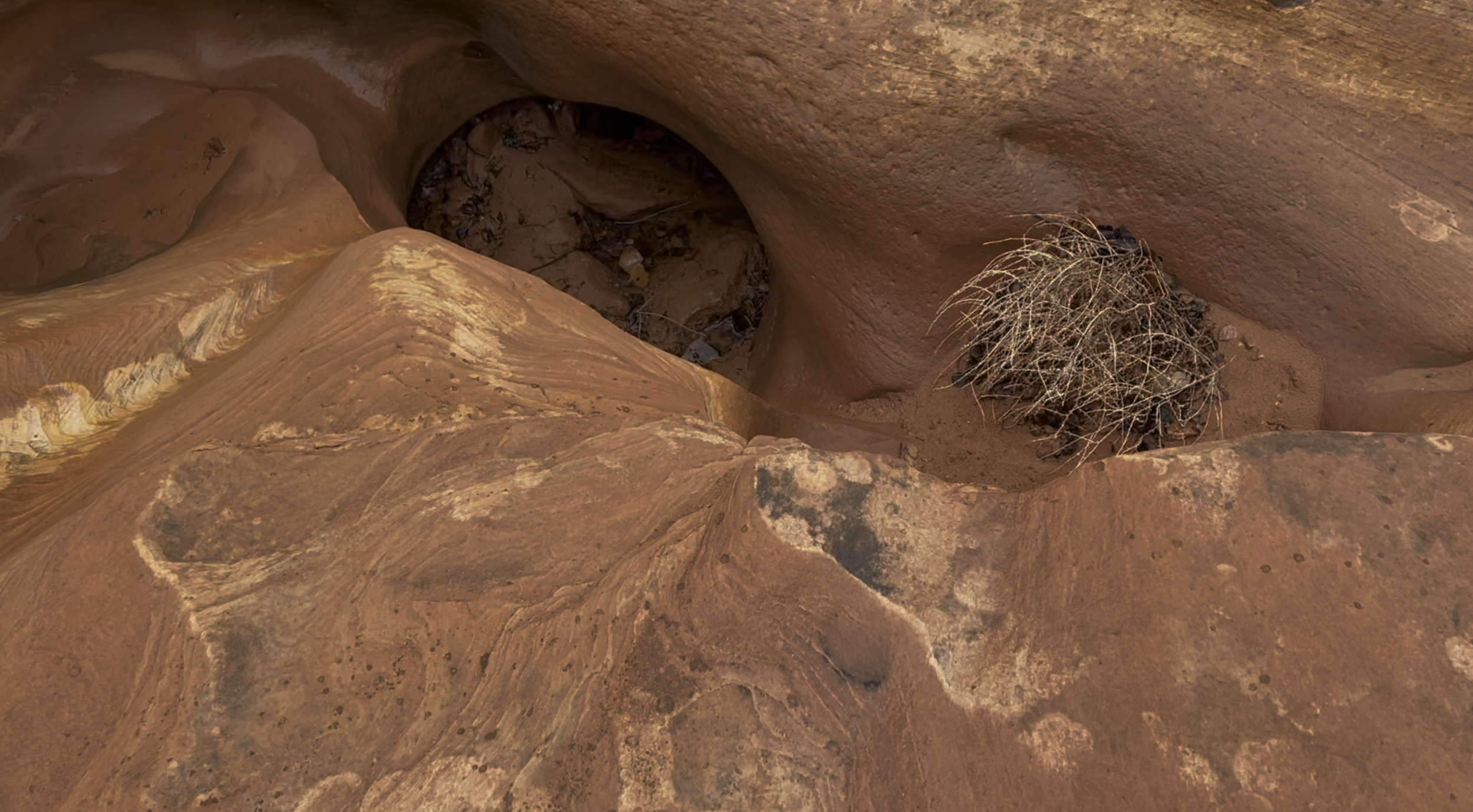 There's some deep wells where water seems to have carved out some holes.  Watch your step.