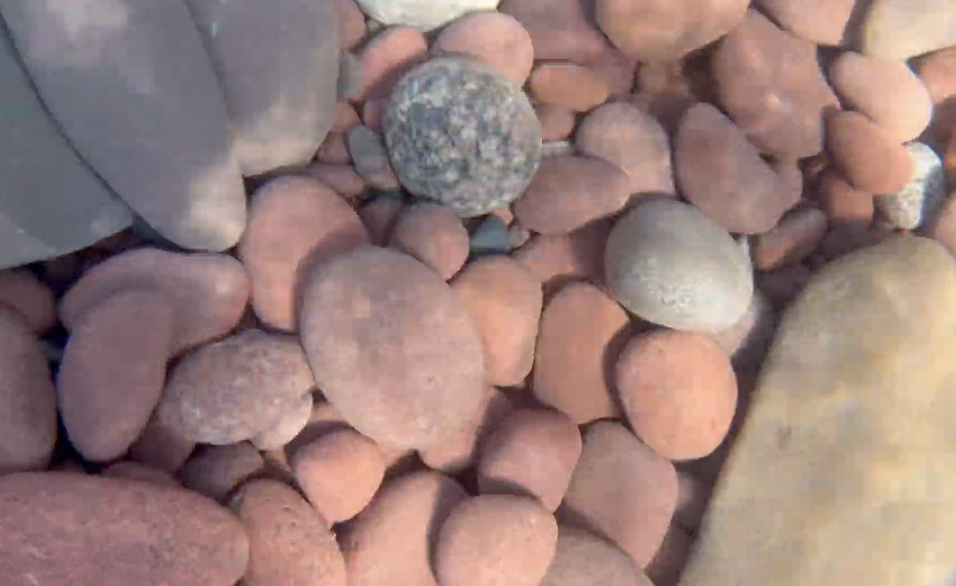 Another look underwater.  The brown bedrock in the area is similar to what you'd find on the Northern portion of the Minnesota coast.