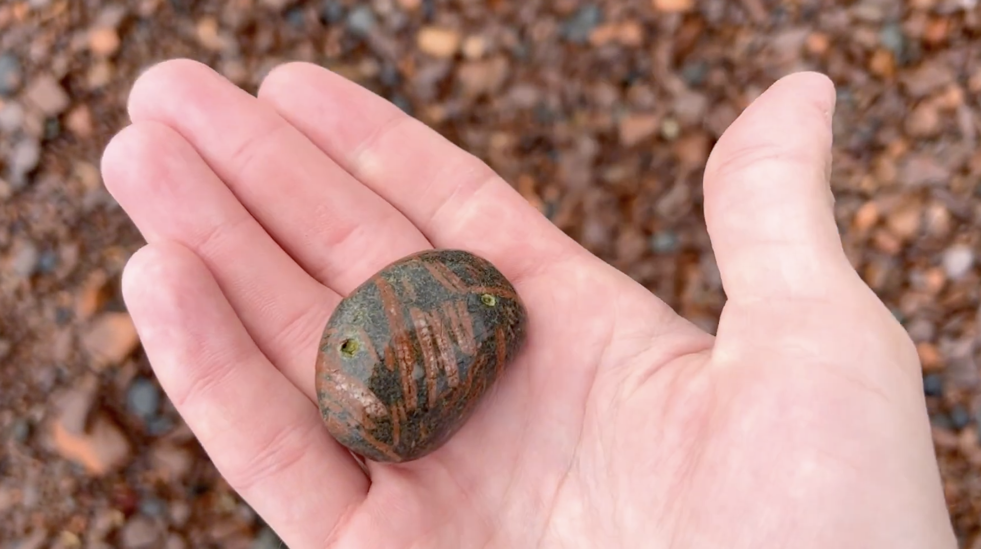 Porphyry - the red "sticks" are feldspar.