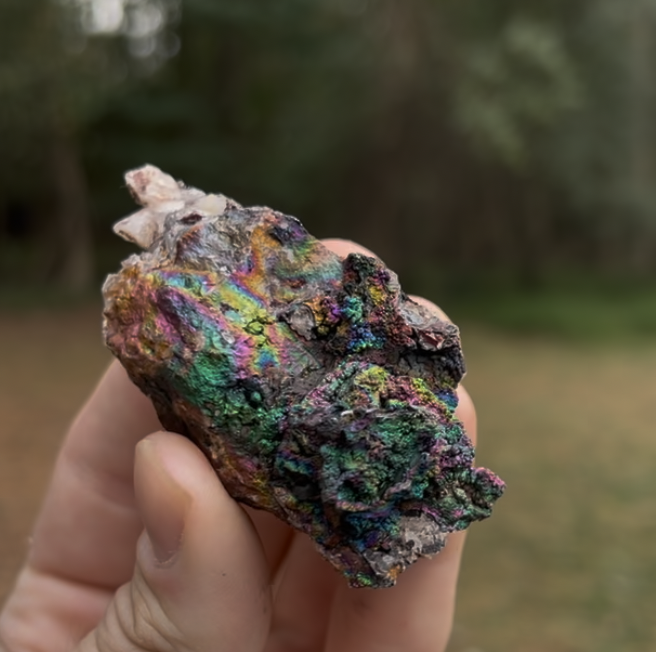 These next few pieces were all dug at the most recent dig in Fall 2025.