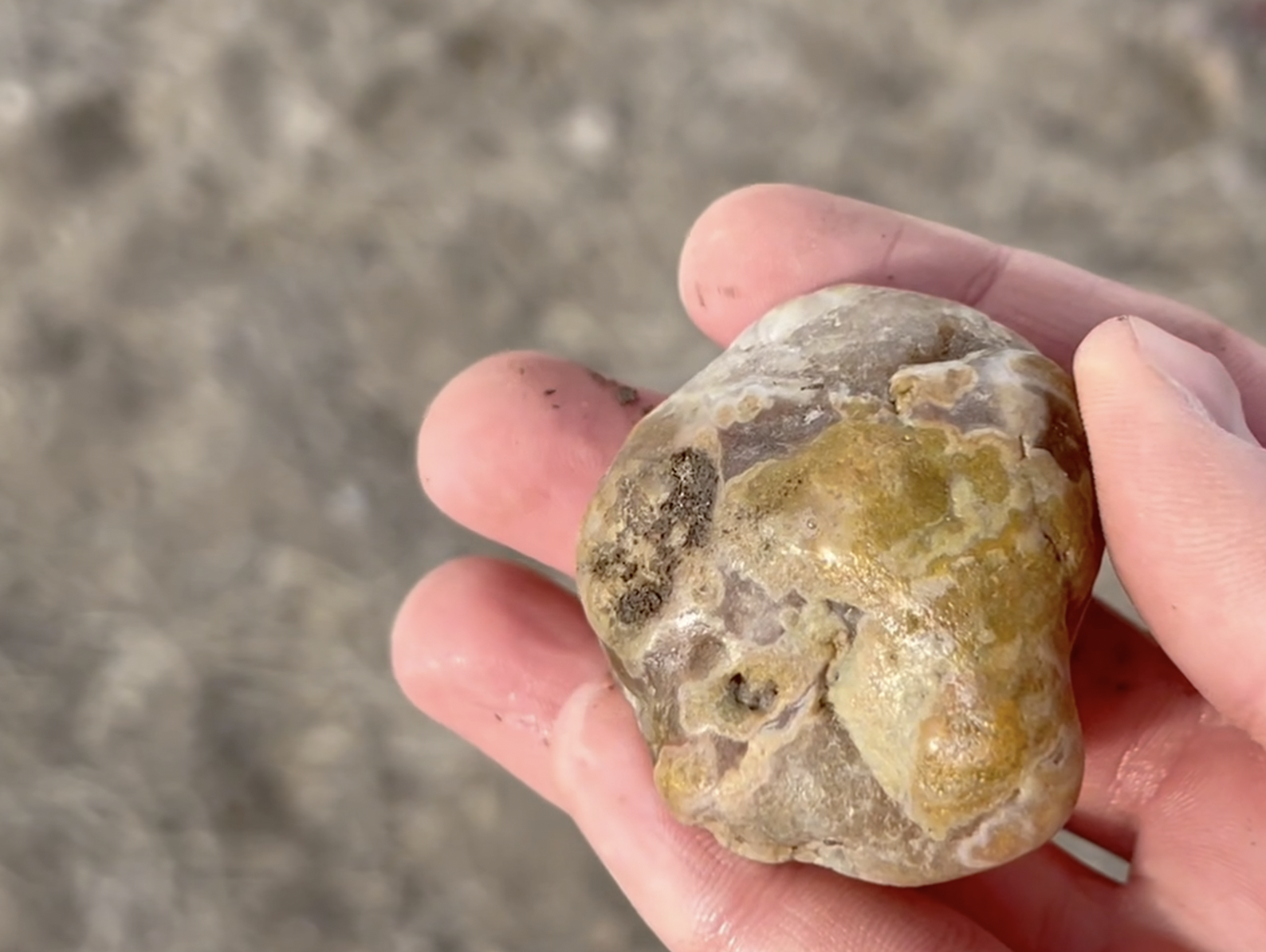 These were all very hard rocks to cut.  This one took almost 8 minutes.