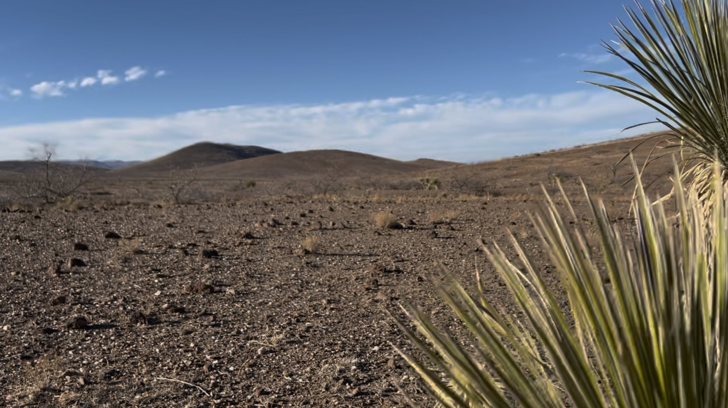  I hiked a good amount of miles out here.  Making zig zags to find pieces I liked.