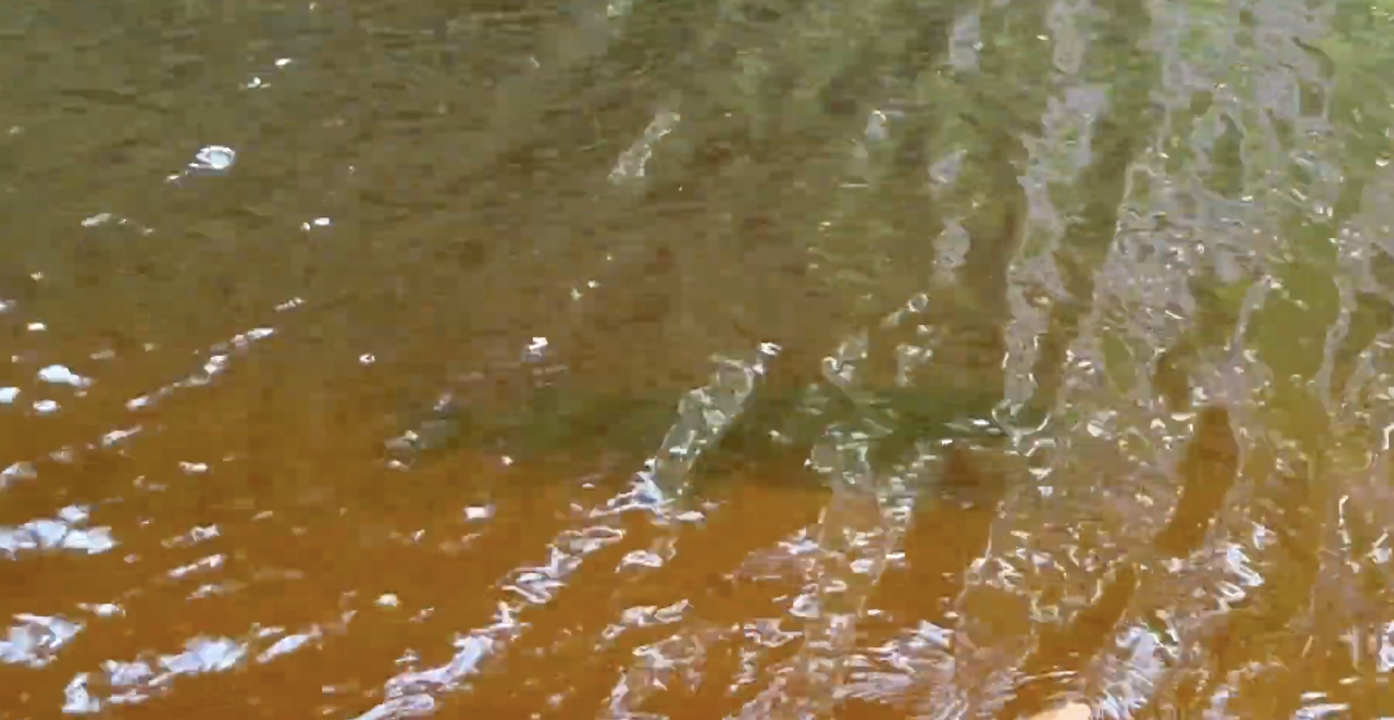 Not a clear photo, but ran into a decent sized Northern Pike sitting just a couple feet from shore in the river after the waterfall.