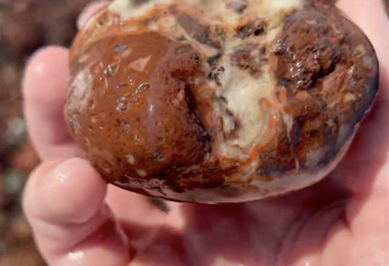 Many were 'almost agates' with little sections of banding that aren't continuous.  Larger agates can be found up here, though.  They're called Keweenaw agates and are a specific variety of Lake Superior Agate.