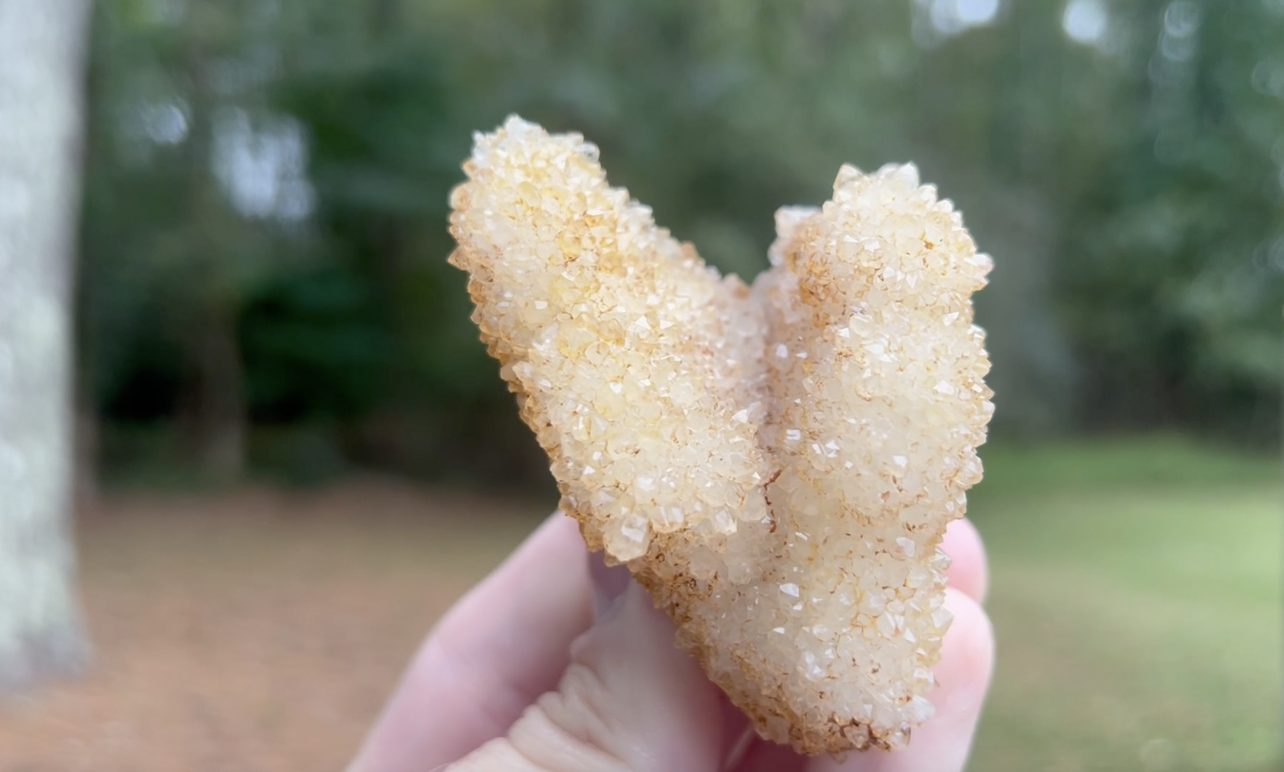 Others had no scaling but crazy shapes.