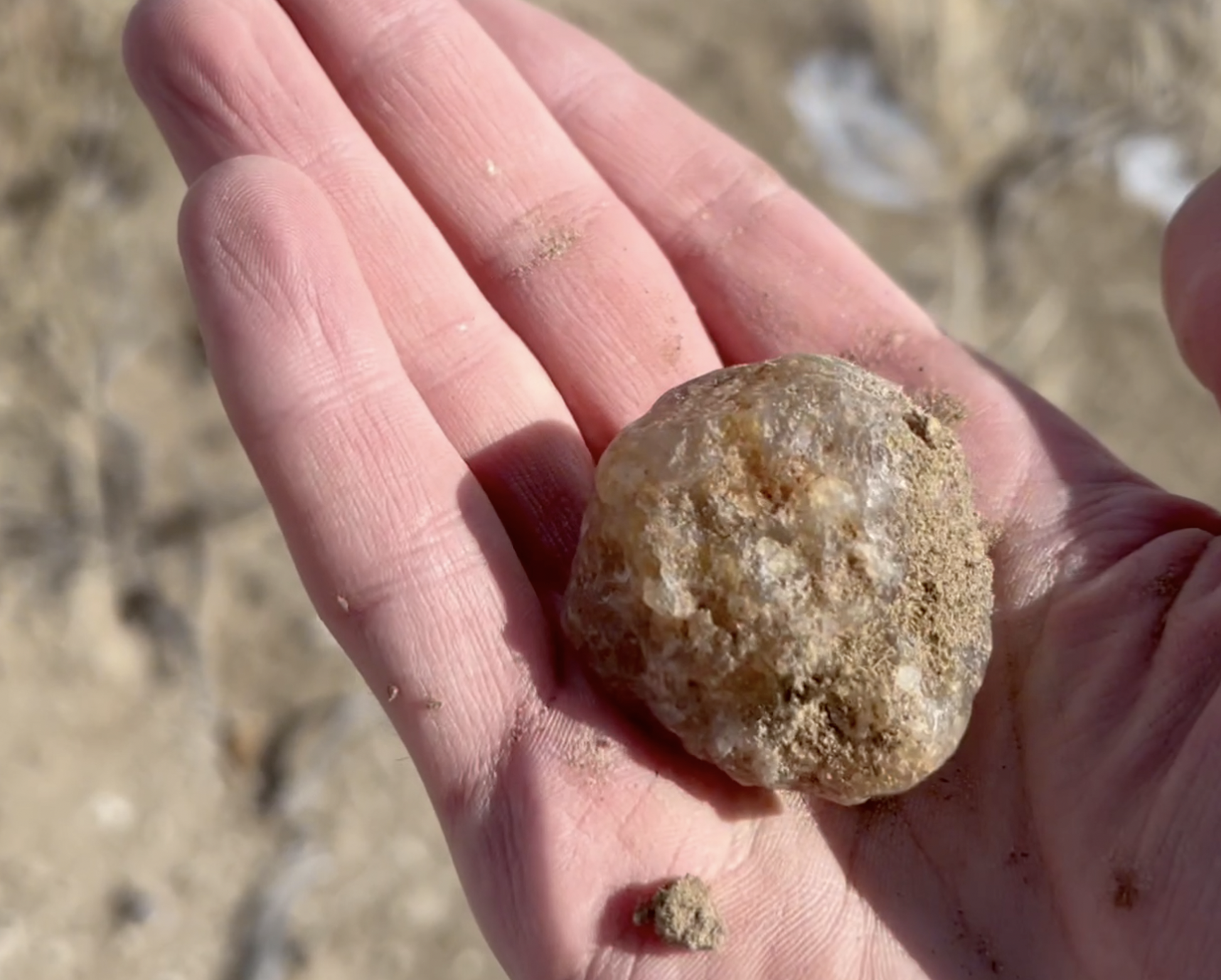 This was my best guess as to what a Sweetwater Agate looked like in daylight.  Most pictures of them online are after they've been cut and polished, so it was tricky for me - at least as a total novice to the area.
