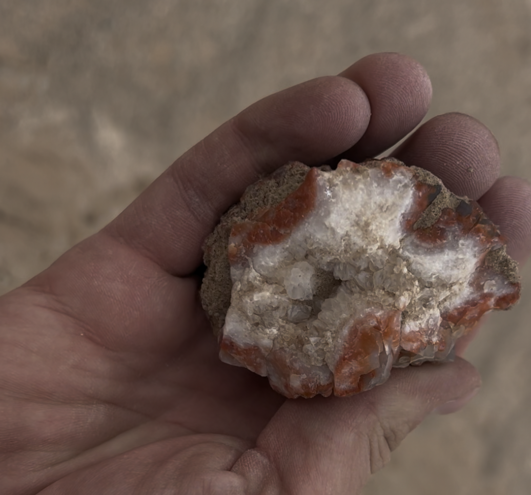 Here is a nodule that's already been broken open and celestine crystal is visible inside.