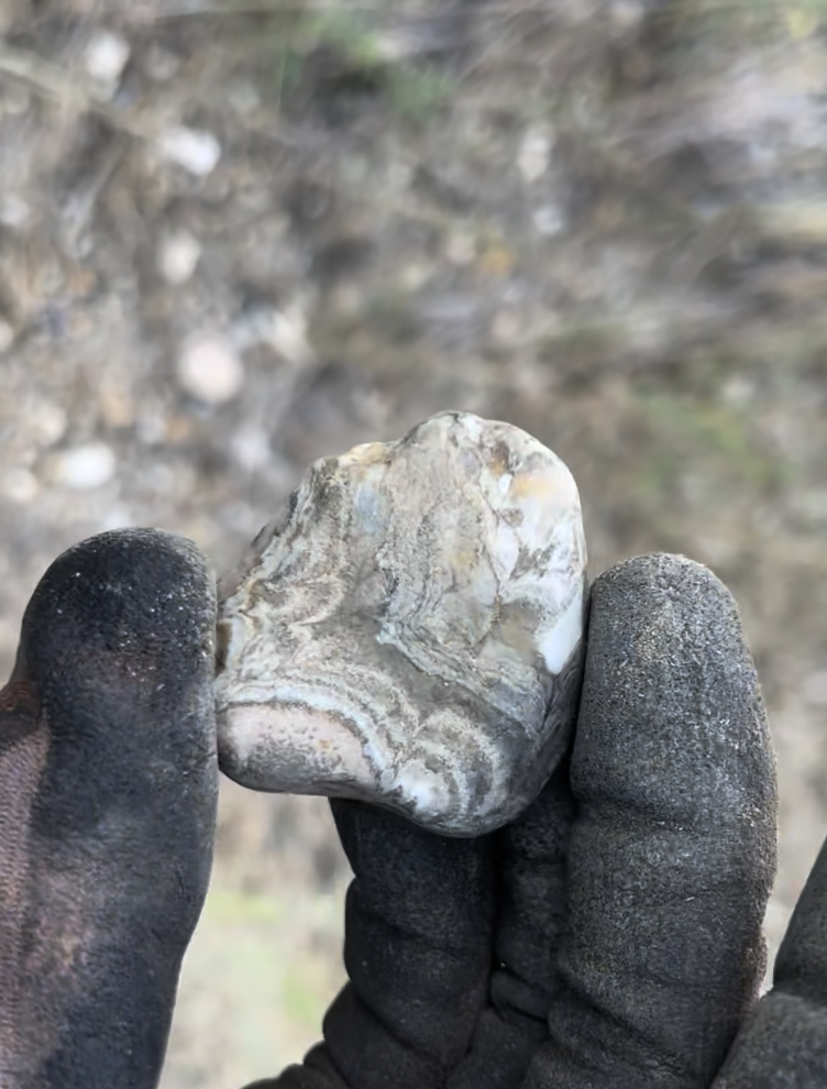 Another prairie agate.