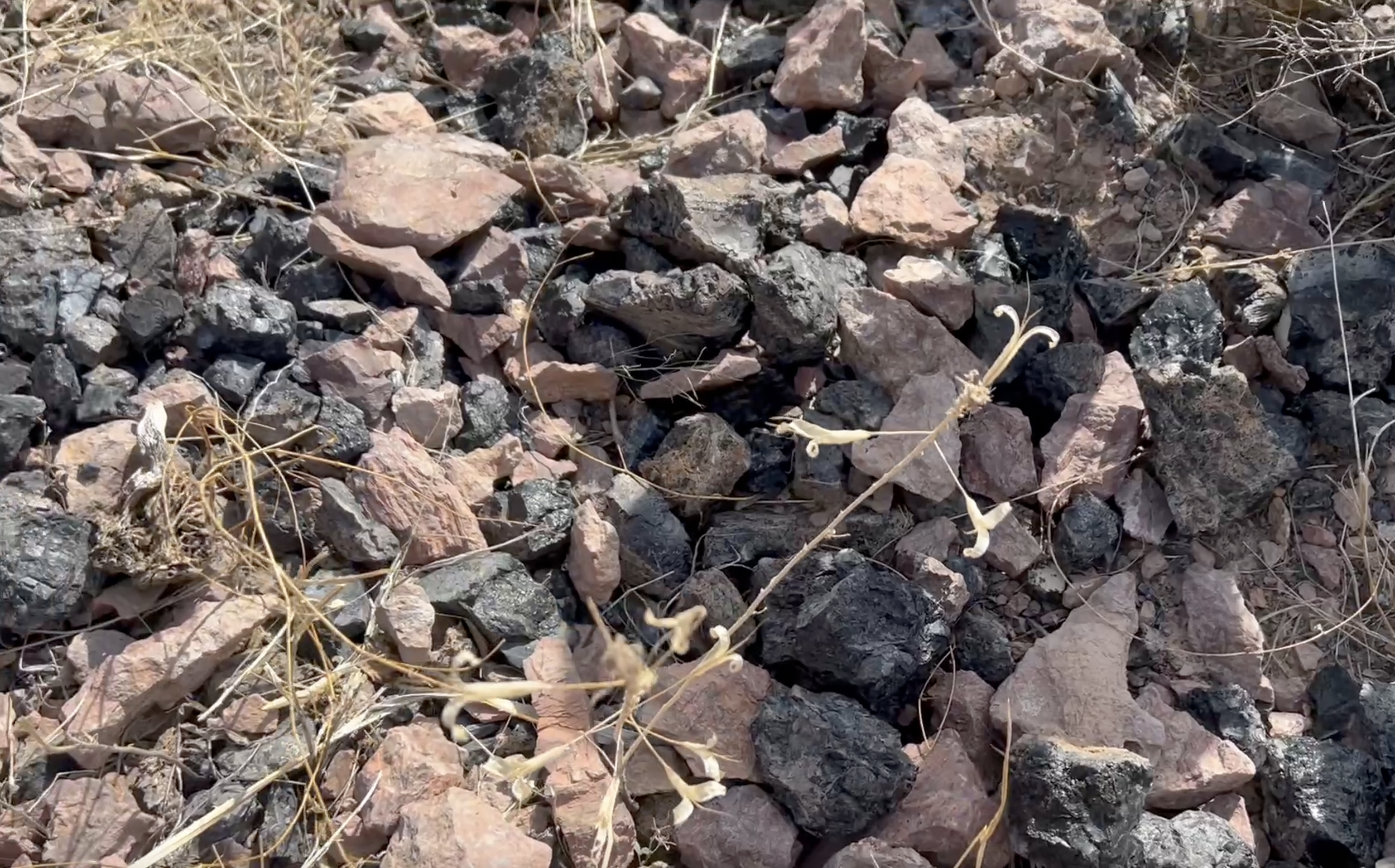 If you poke around enough, there are flows of it where you'll find many pieces.