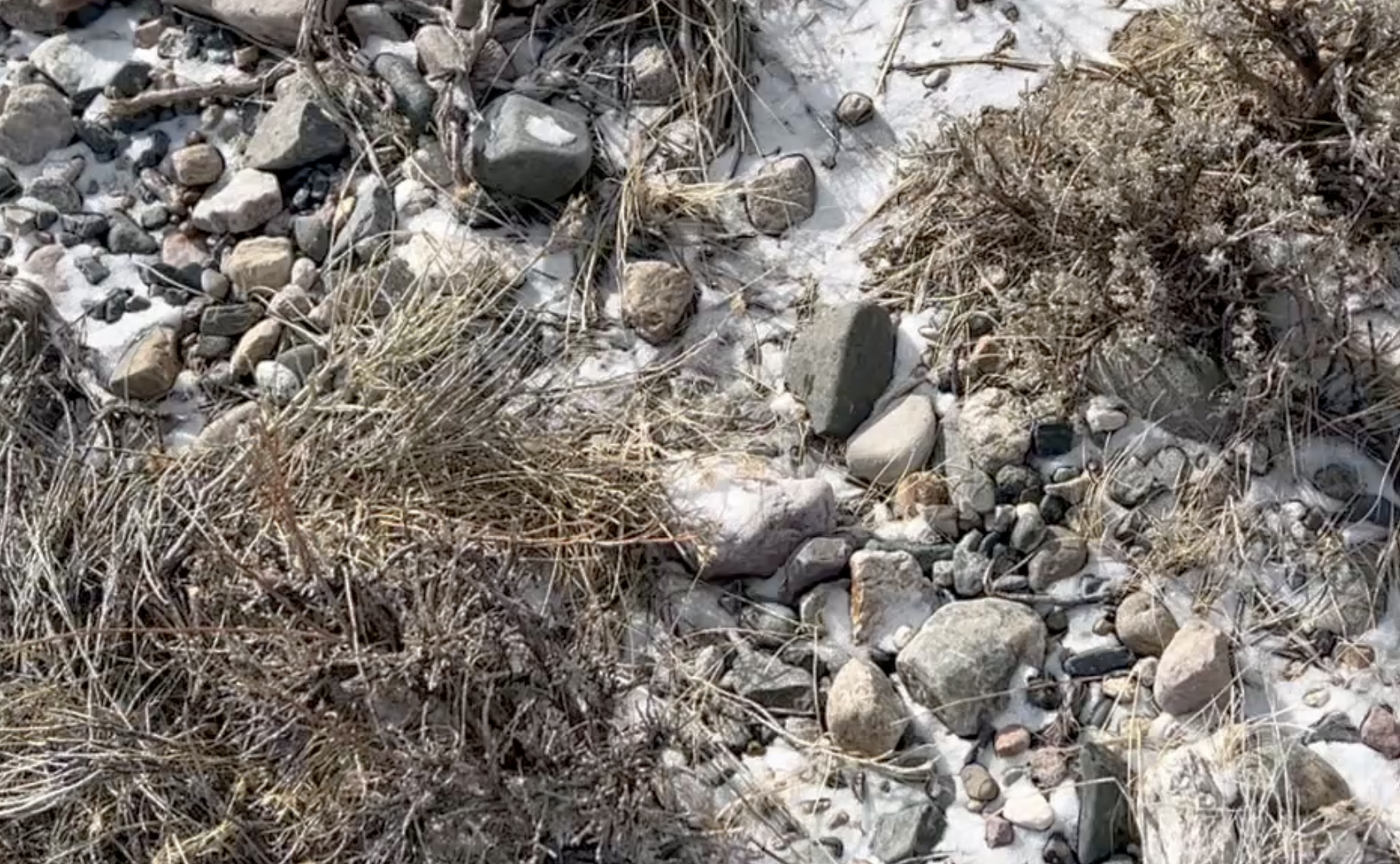 I scoured the washes like this to try and find large accumulations of rock.