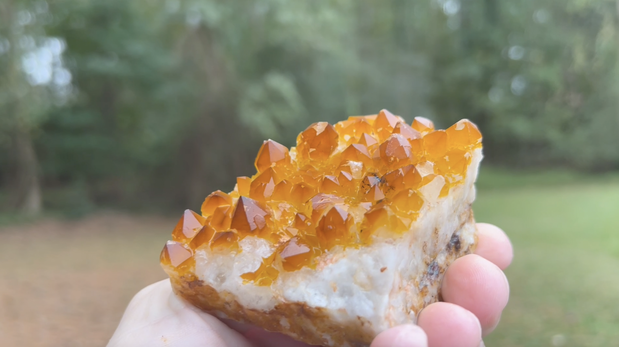 The scaling was unexpectedly good on these after getting them cleaned off with a garden hose sprayer.