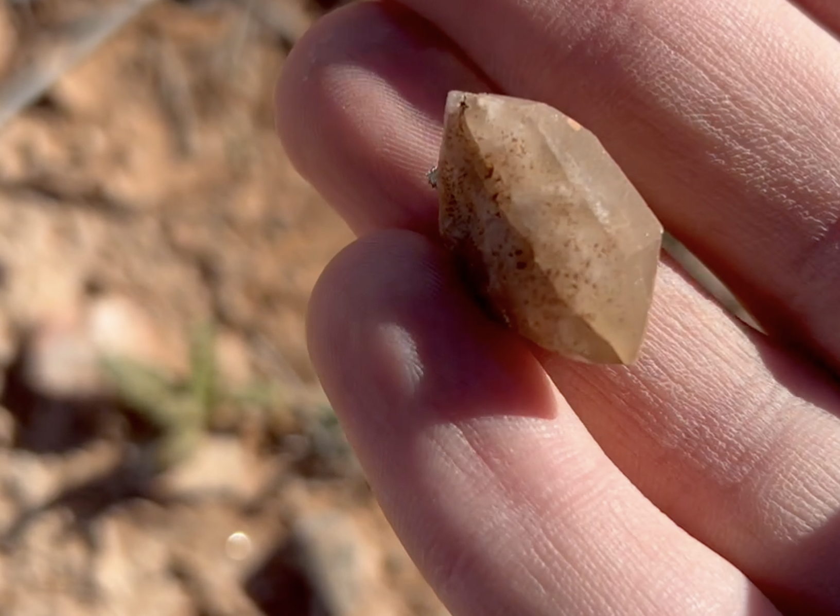 The more I walked, the larger pieces I began to find.