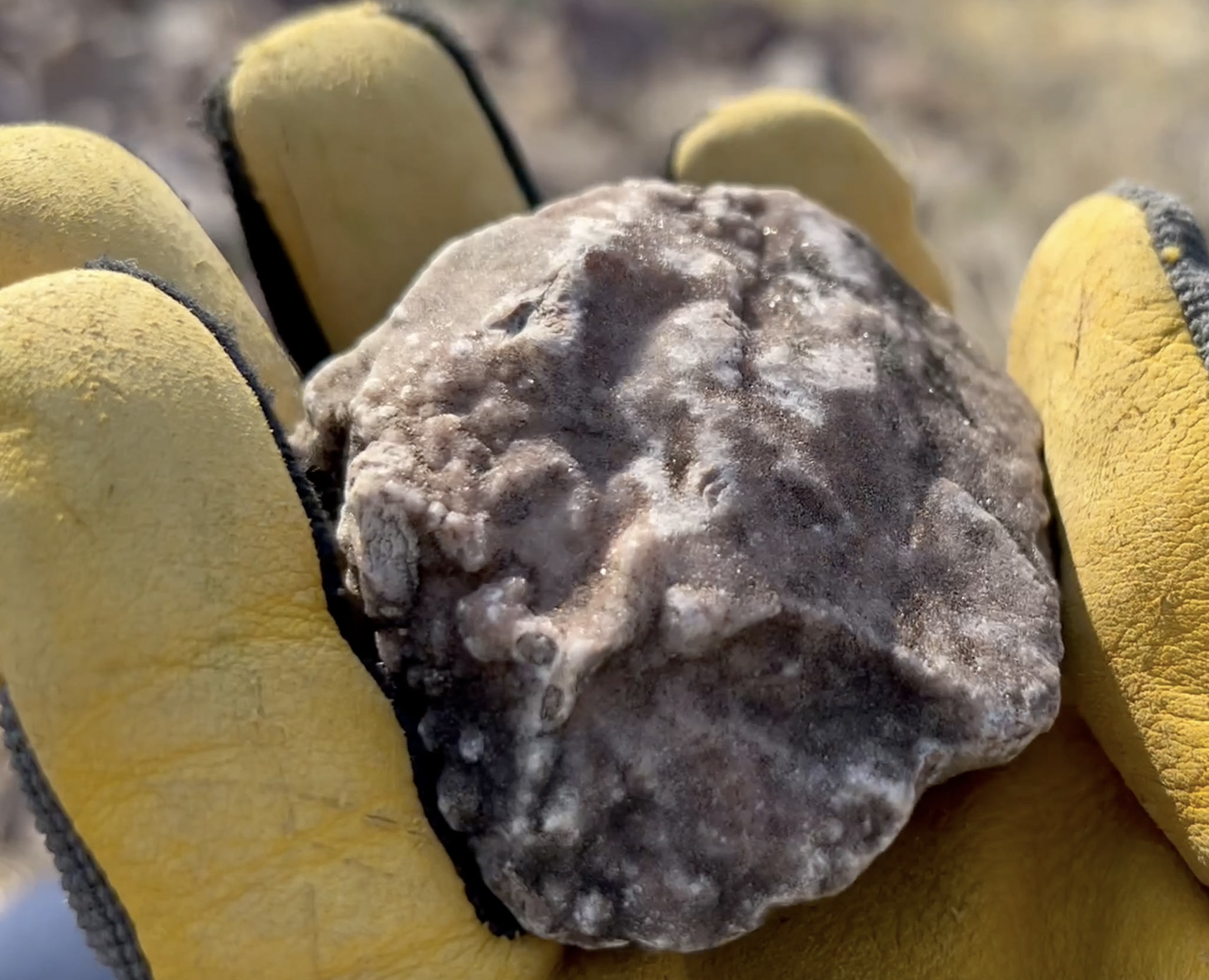 Maybe another, but with a different outer texture.