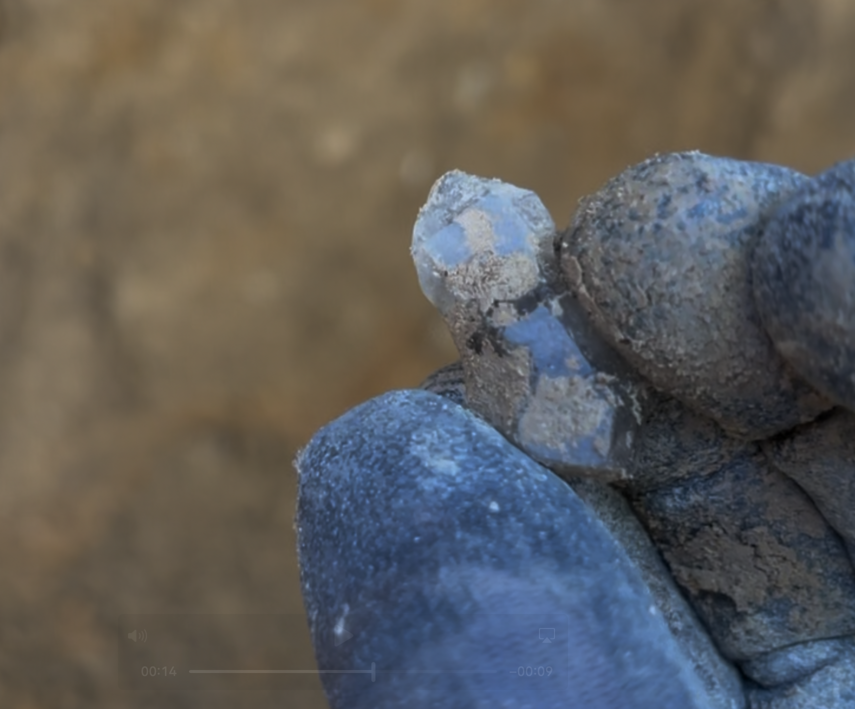 One of our better finds for the day - a scepter.