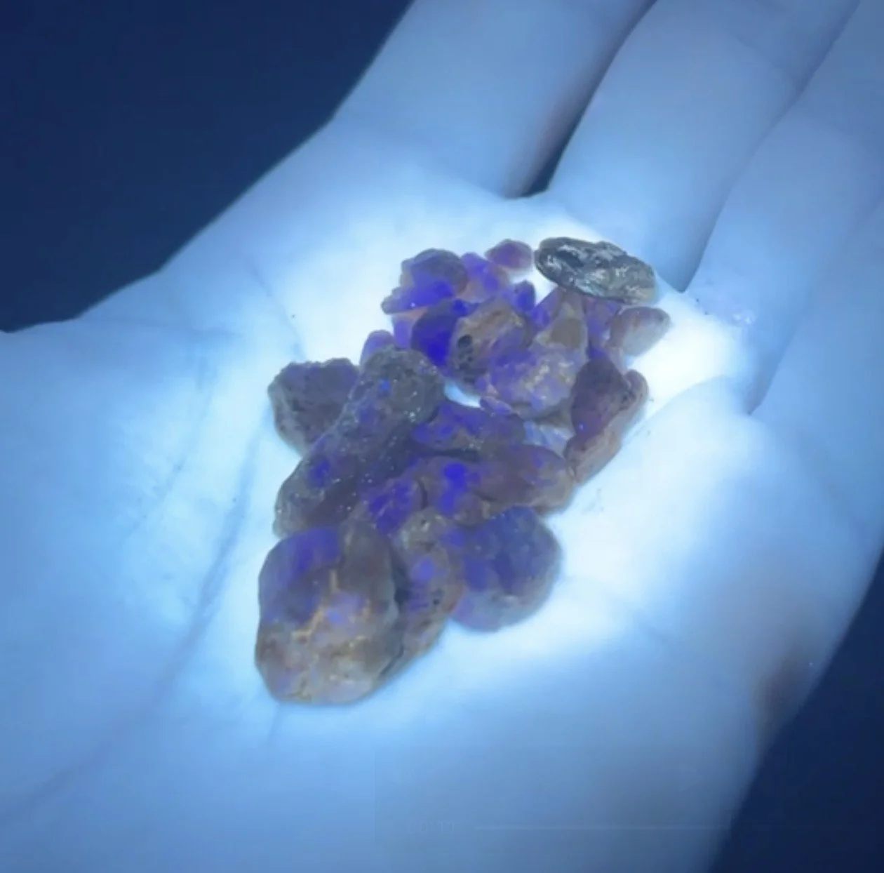 Under the blacklight, you’ll likely notice lots of this material at the Cherokee Mine.  This is moonstone.  It has a blue/purple fluorescence.