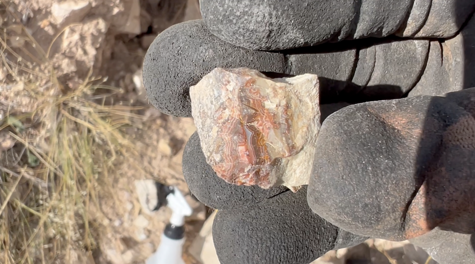 One of the more eye-catching little fragments I found.