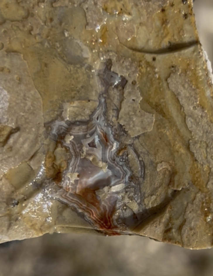 Here's an example of a Teepee Canyon agate.  These aren't world class pieces.  The ones dug 30 or 40 years ago are huge by comparison!