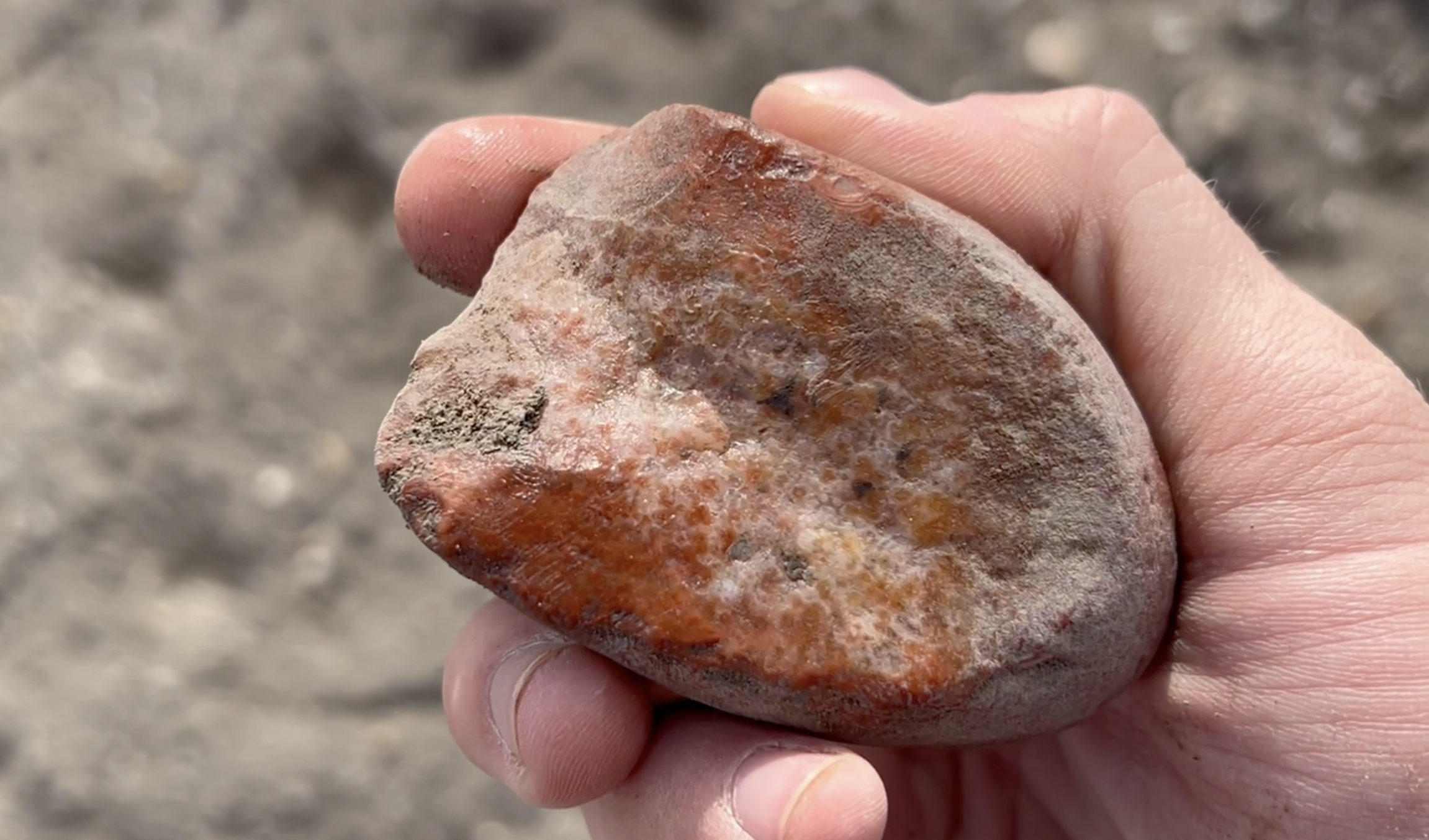 I wasn't sure what this was so I brought it home to make a cut.