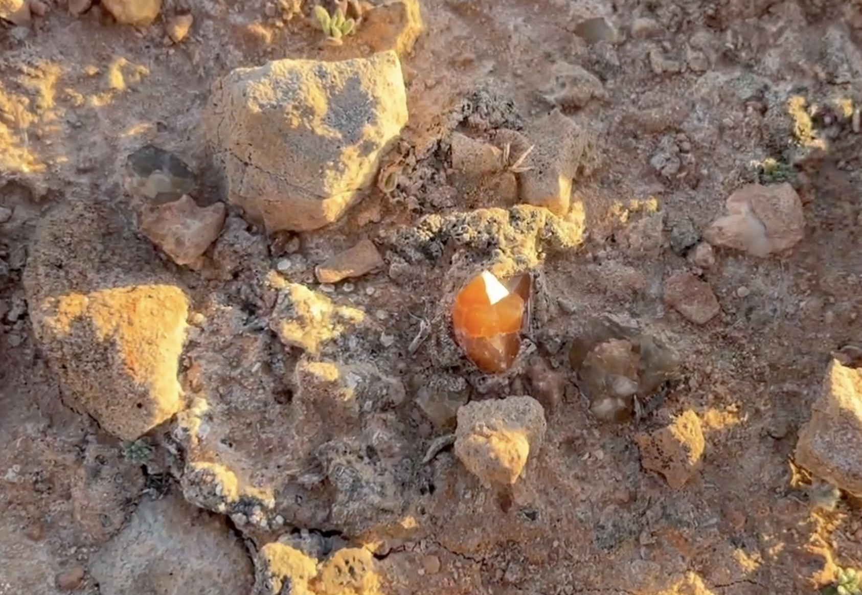 Here's what they look like laying in the ground.