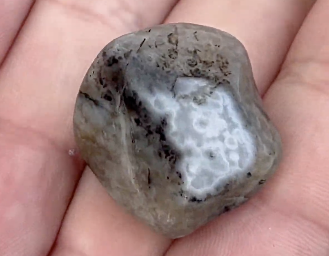 One we found in 2023.