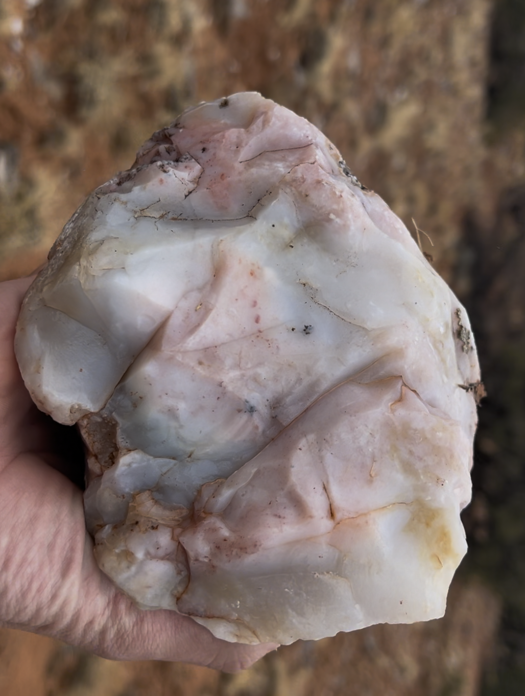 A favorite of mine with some nice pink to white pastel colors.