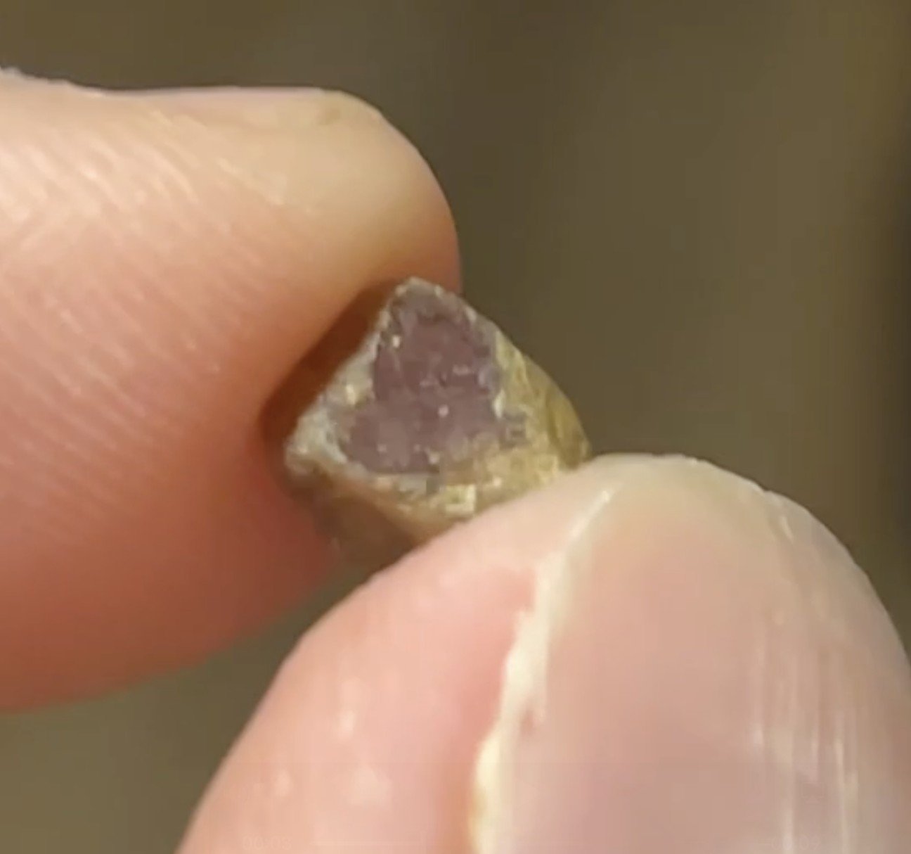 …This one would be best described as a pink sapphire.  It was explained to us that just about everything besides a deep red is locally considered sapphire.  I hope to have more in my concentrates, it's a relaxing project to go through slowly with a b