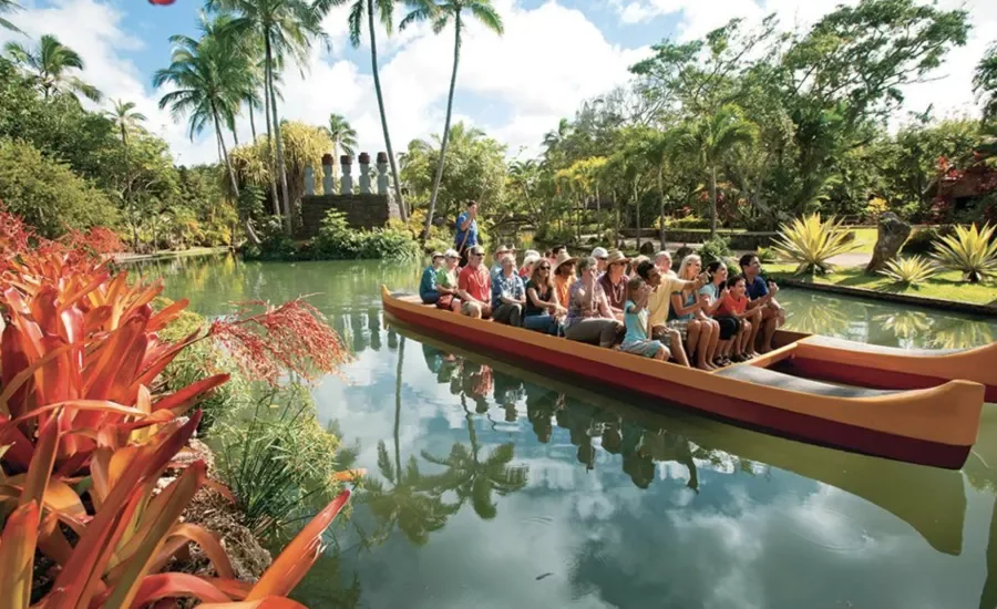 Screen Shot 2020-01-20 at 4.20.01 pm.png.webp