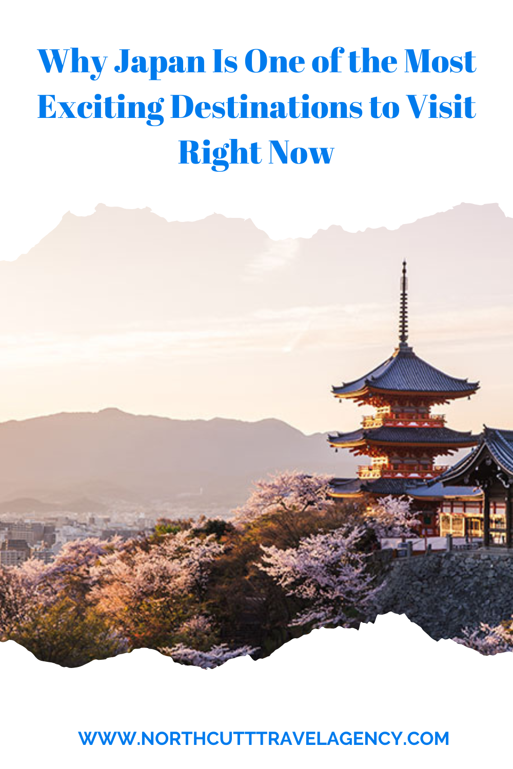 Why Japan Is One of the Most Exciting Destinations to Visit Right Now