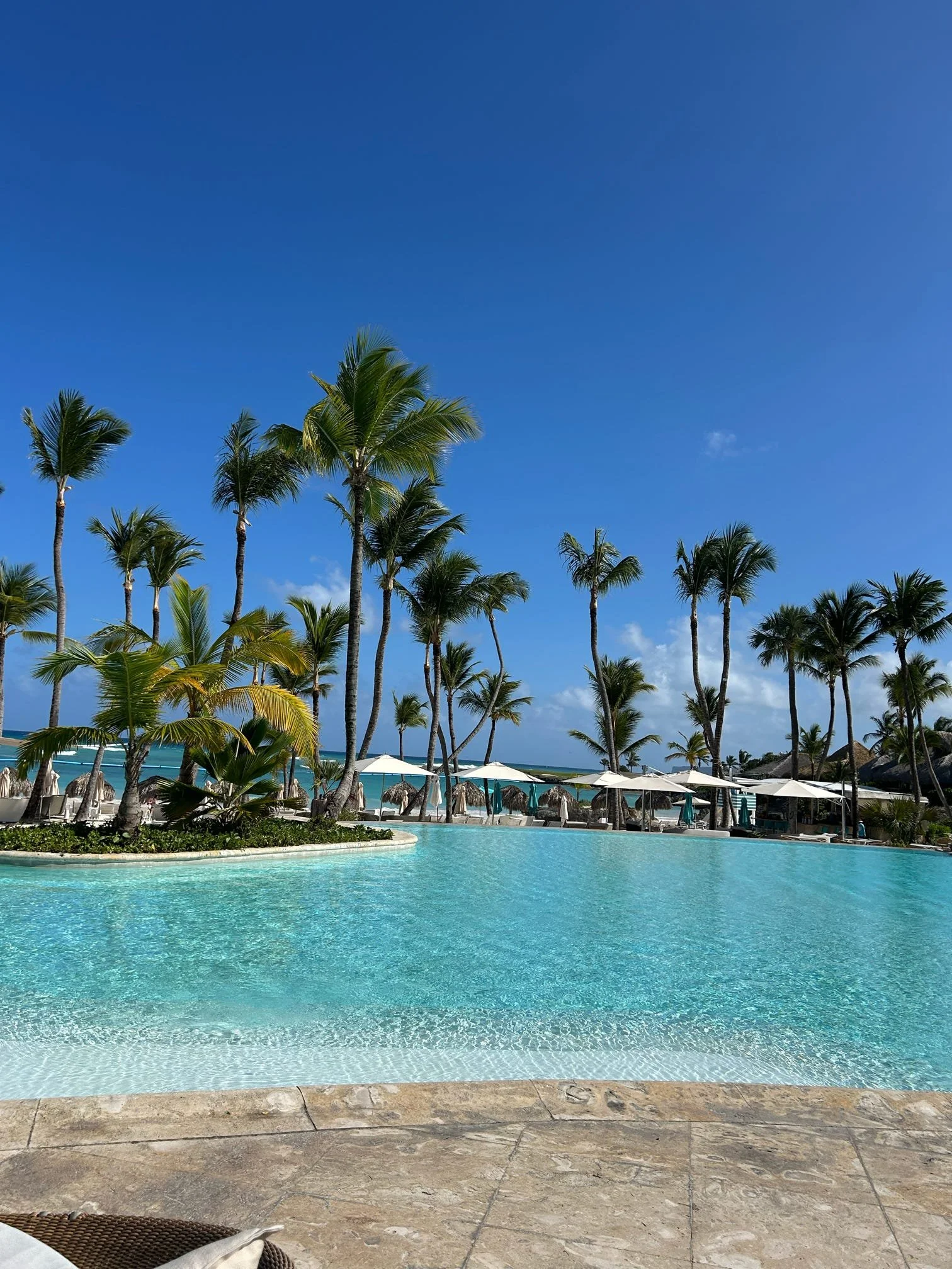 Caribbean - Palm Trees against Blue Sky.jpg